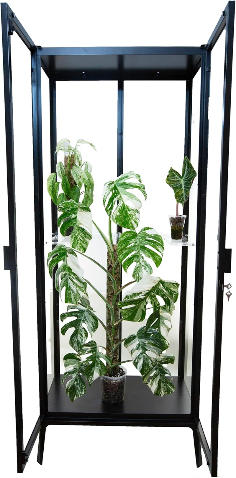 Clear Acrylic Shelves for IKEA Milsbo Tall Greenhouse Cabinet &ndash; 10Mm Thick Horseshoe Shelf image number 4