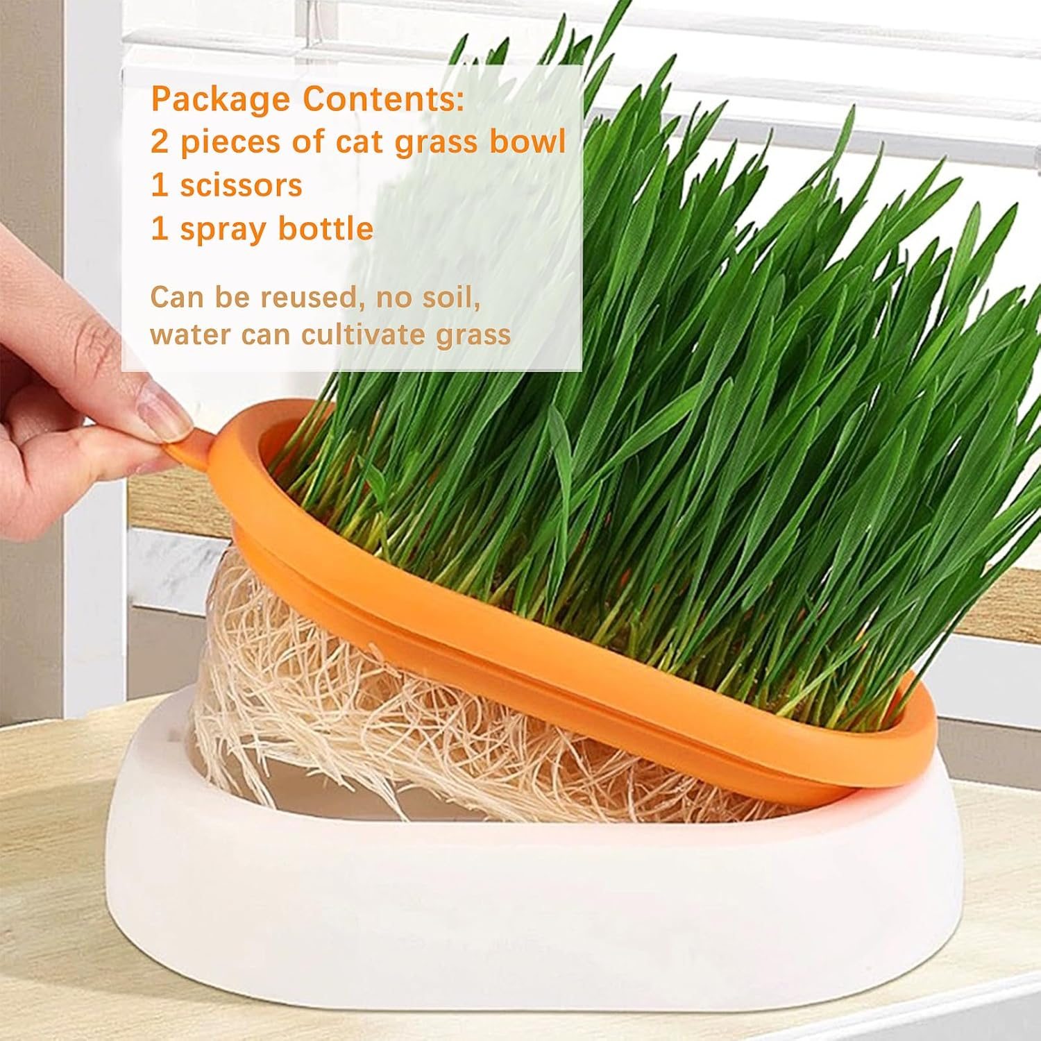 2 Pieces Plastic Catnip Box, Cat Grass Box Tray for Cats, Hydroponic Catnip Planting Box with 6 Seed Bags
