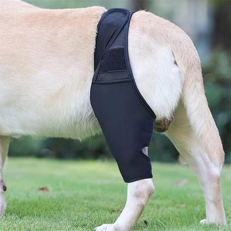 Dog Elbow Protector, Dog Elbow Brace Protector Pads for Canine Elbow and Shoulder Support, Dog Knee Leg Sleeve for Dysplasia, Arthritis, Pressure Sores, Shoulder Dislocation (L, Black) image number 4