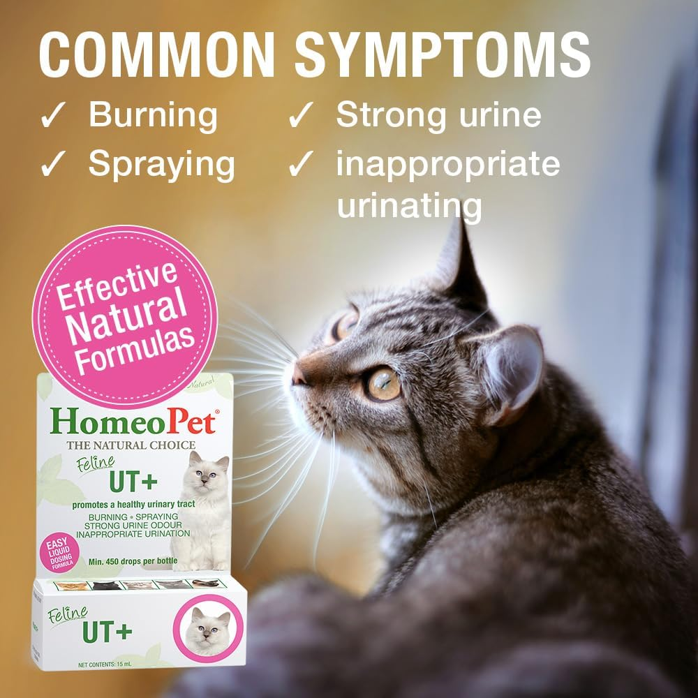 Homeopet Feline UT+ 15 Ml for Cats - Safe Natural Remedy for Cat UTI Treatment & Cystitis Relief. Urinary Tract Formula and Bladder Infection & Kidney Support Supplement for Cats & Kittens image number 3