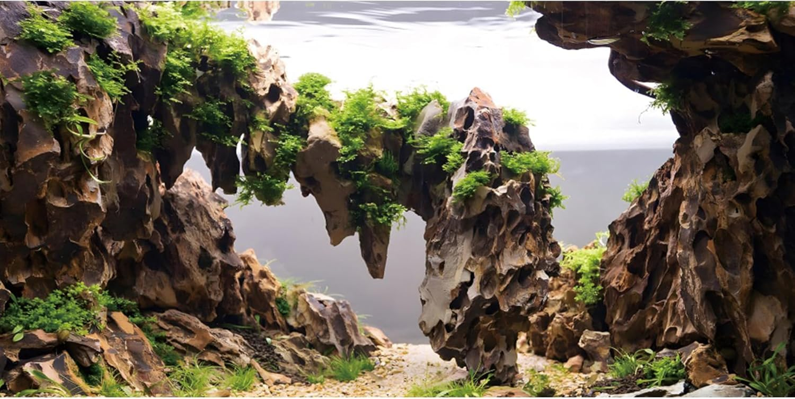AWERT 24X16 Inches Viewing Stone Fish Tank Background Aquatic Plant River Bed & Lake Aquarium Background Seaweed Aquarium Vinyl Background image number 4