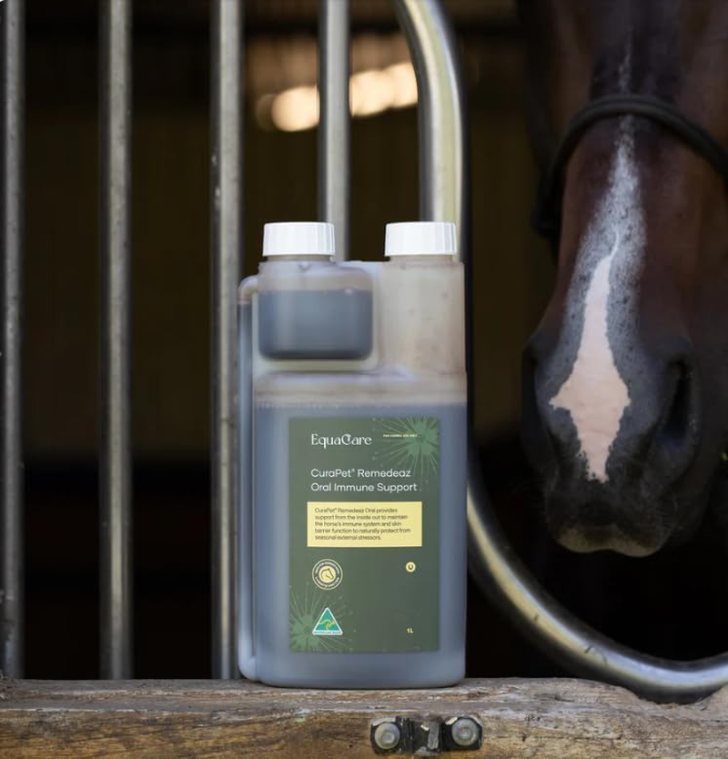 Curapet Remedeaz Oral Immune Support for Horses, 1L, with Probiotics and Prebiotics image number 1