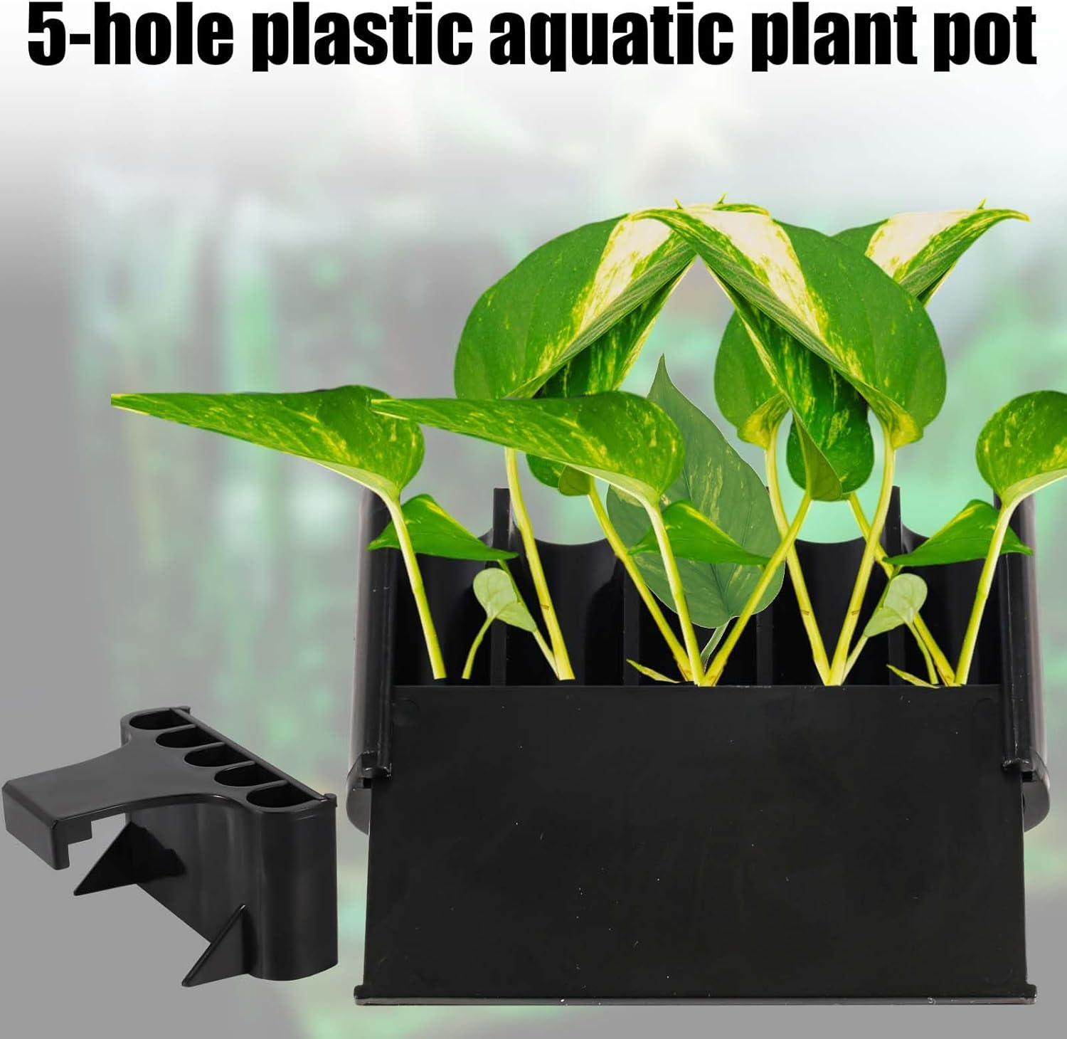 2Pcs Aquarium Plant Holder, 5 Holes Top Rimmed Aquarium Floating Planter Box Plastic Aquatic Plant Cup Holder Hanging Aquarium Plant Basket Rack Stand Hanger Accessory for Fish Tank Decorations image number 1