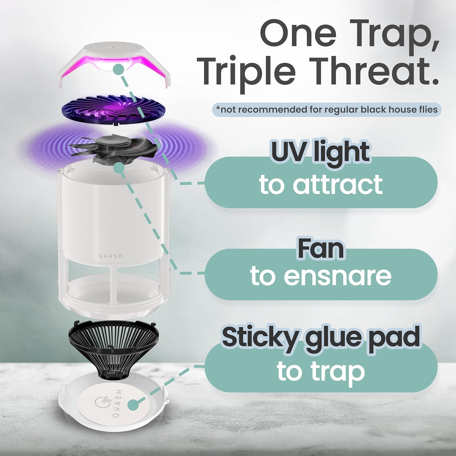 QUASH Indoor Fly Trap &ndash; Non-Zapper Mosquito & Bug Catcher with UV Light, Suction Fan & Sticky Glue Board &ndash; Safe & Effective Fly Swatter for Mosquitoes, Gnats, Mozzies, & Moths (White) - White Insect Trap image number 5