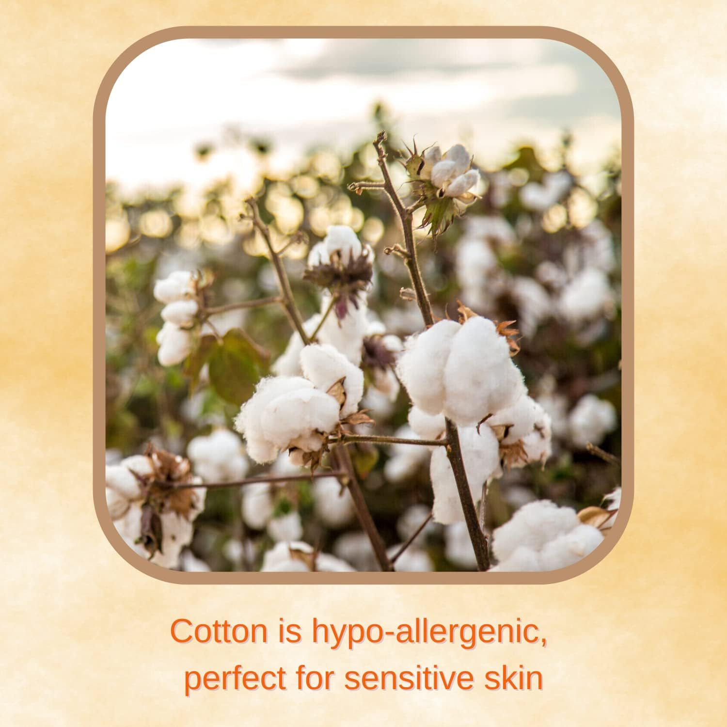 Cottons Maternity Cotton Pads W/Wings 10'S image number 2