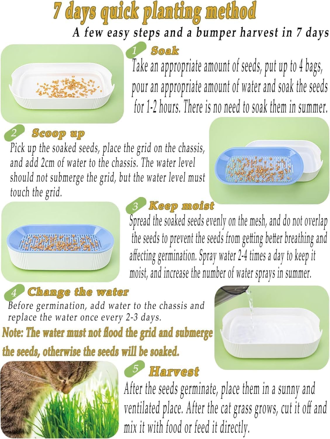 3 Pcs Hydroponic Cat Grass Planter, Seed Sprouter Tray Soil-Free Big Capacity Healthy Wheatgrass Grower Sprouting Container Kit for Kitten - Extra 15 Packs of Seeds image number 2