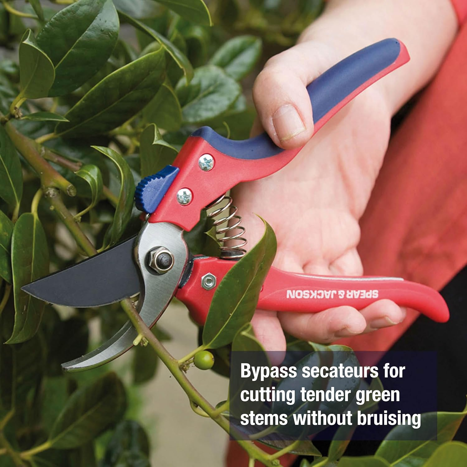 Spear & Jackson 7159BS Razorsharp Advantage Bypass Secateurs, Multicoloured image number 1