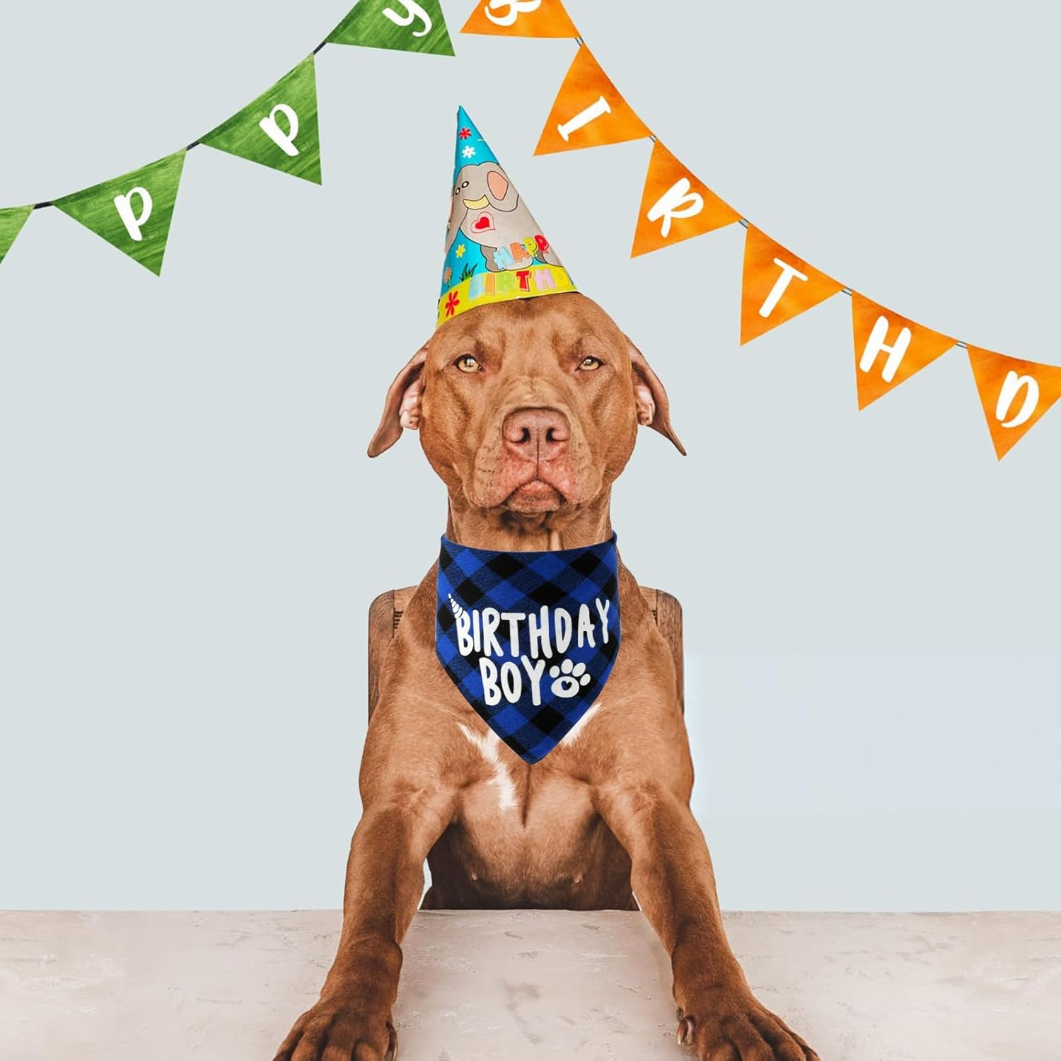 Oruola Birthday Dog Bandana,Birthday Boy Dog Bandana,Dog Birthday Decorations,Long 71Cm/27.95In Triangle Bibs for Multi Sizes Dog,Birthday Boy Bandana for Small Medium Large Dogs Pets Blue Black image number 4