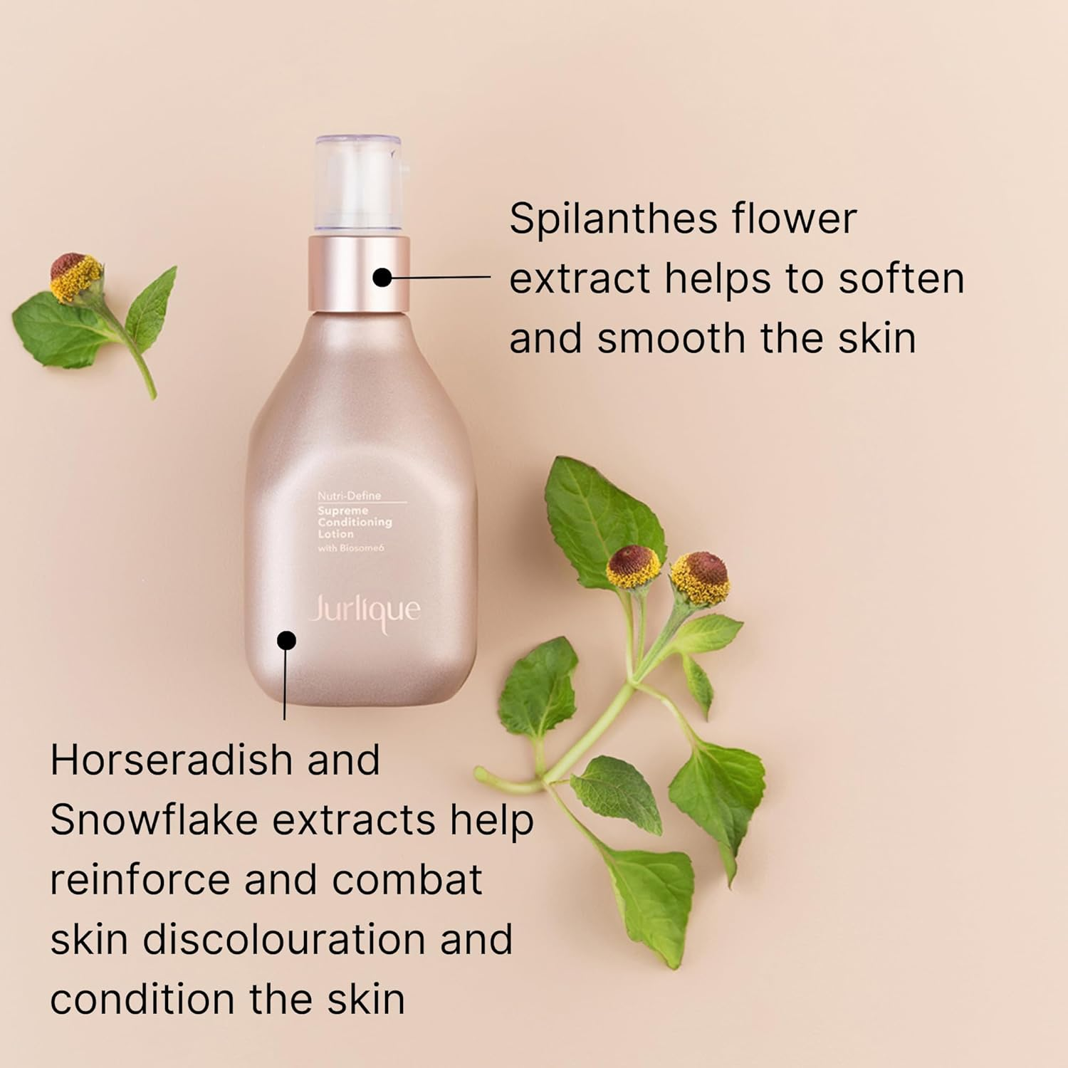 Jurlique - Nutri Define Supreme Conditioning Lotion - 100 Ml image number 3