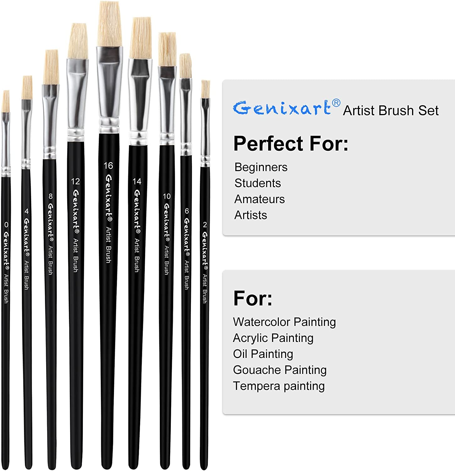 Acrylic Oil Watercolor Paint Brush Set, 9Pcs Flat Paintbrushes for Art Painting, 100% Natural White Hog Bristle Artist Paint Brushes for Students Adults (Black Handle) image number 4