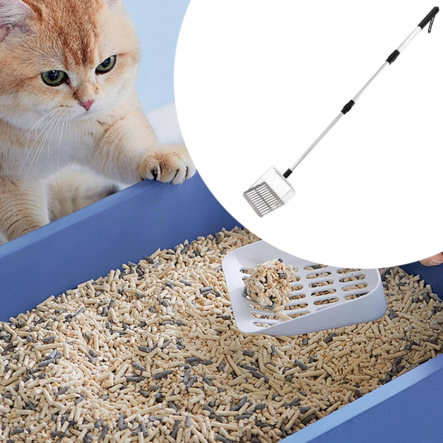 Fzaqwen Stainless Steel Cats Litter Detachable for Kitty Small Animals Rabbits