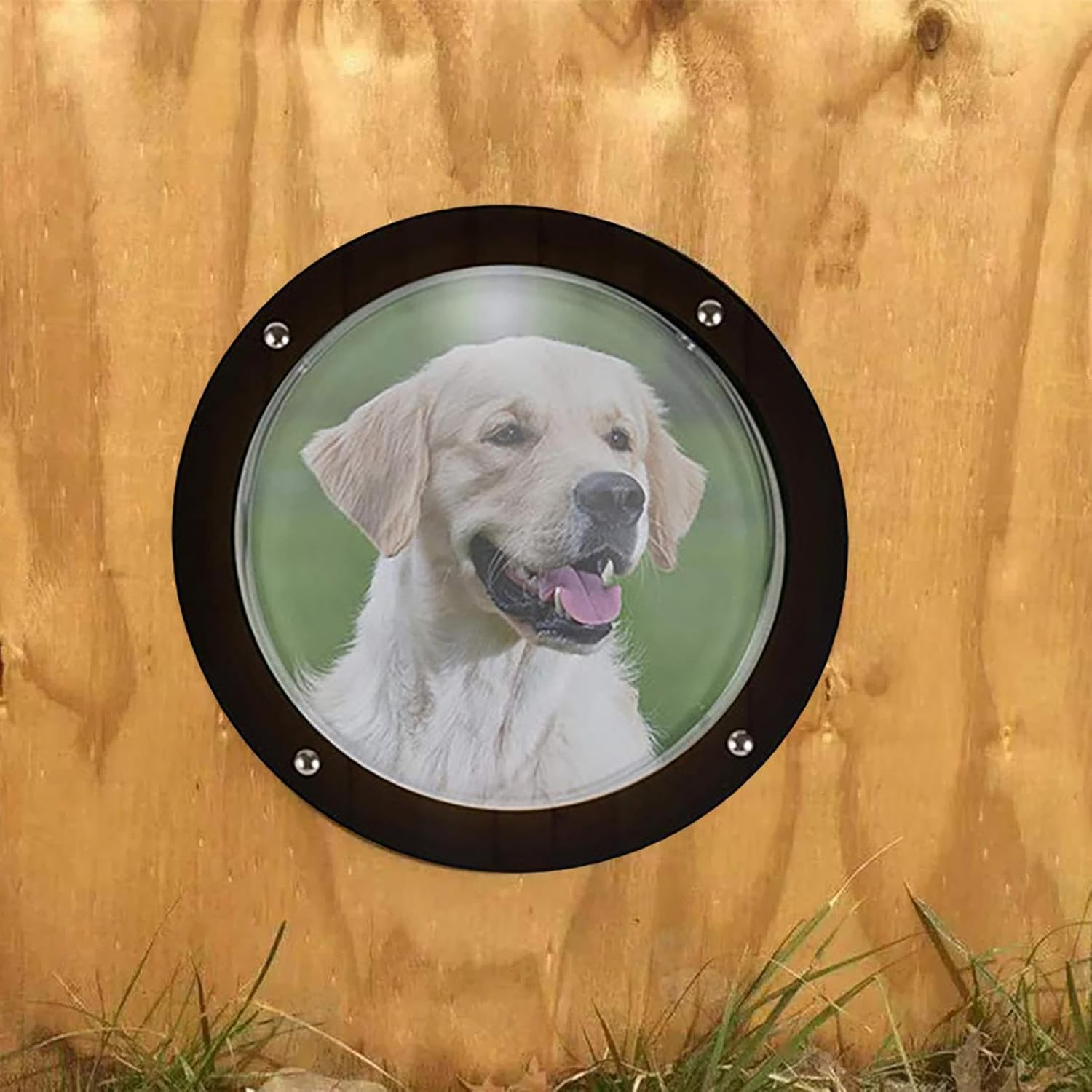 Dog Fence Window - Clear Dome Peek Bubble, Safe Acrylic round Pet Window with Wide View Design, Easy-To-Install Fence Dome for Dogs and Cats | Ideal for Backyard Fences, Kennels, and Play Areas image number 4
