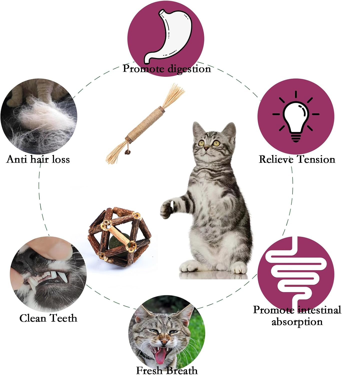 Gdsanlian Cat Chew Toys, 4-Pack Silver Vine Cat Toys, Natural Silver Vine Sticks for Cats, Natural Silver Vine Stick Cage Cat Bell Balls for Cleaning Teeth, Increase Appetite, Suitable for Indoor Cats image number 2