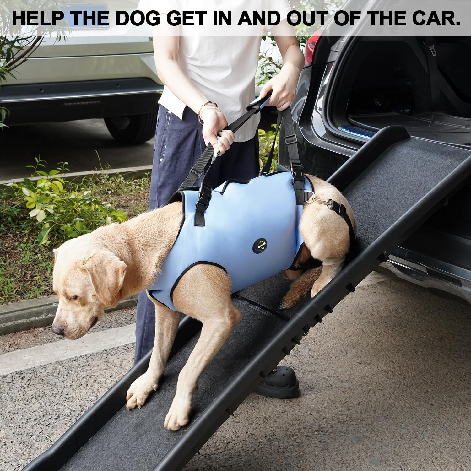 COODEO Dog Lift Harness, Pet Support & Rehabilitation Sling Lift Adjustable Padded Breathable Straps for Old, Disabled, Joint Injuries, Arthritis, Loss of Stability Dogs Walk (Small)