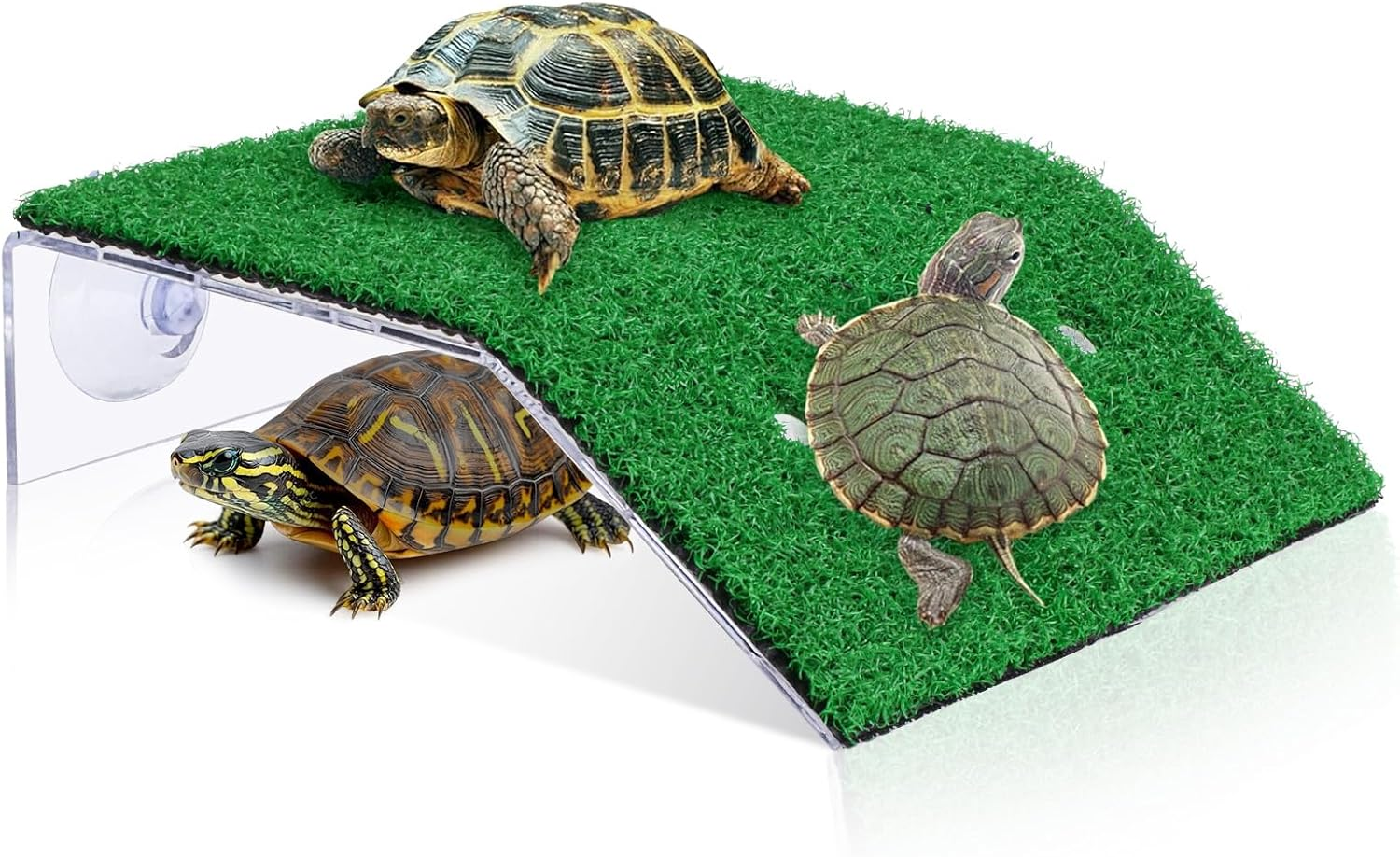 Large Turtle Basking Platform, 2-In-1 Floating Dock with Ramp for Aquatic Turtles Reptiles and Amphibians, Easy to Install Basking Area for Habitat Tank Terrarium image number 5