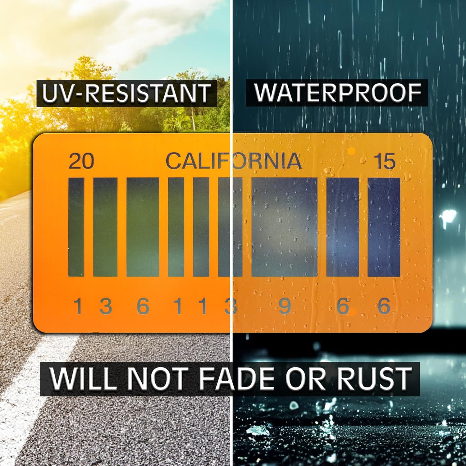 Back to the Future 2 | 2015 | Metal License Plate