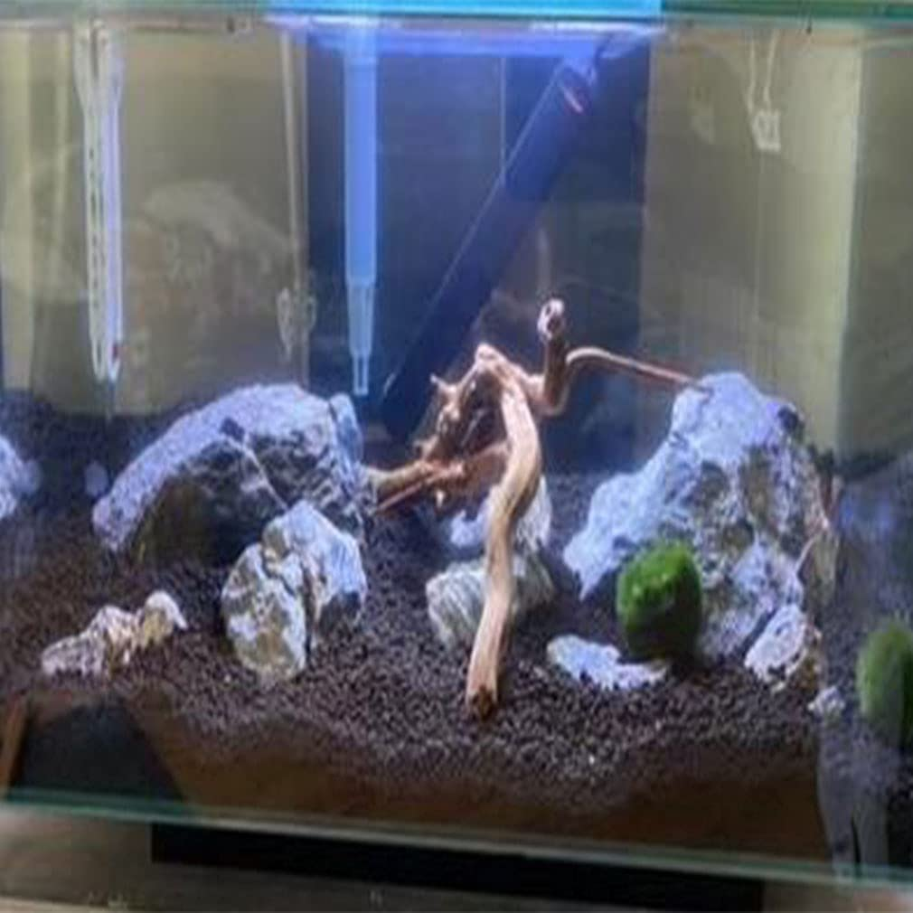 Emours Natural Aquarium Driftwood Tropical Fish Plant Habitat Decor Vary Sizes, 2 Pcs Set (Medium) image number 2