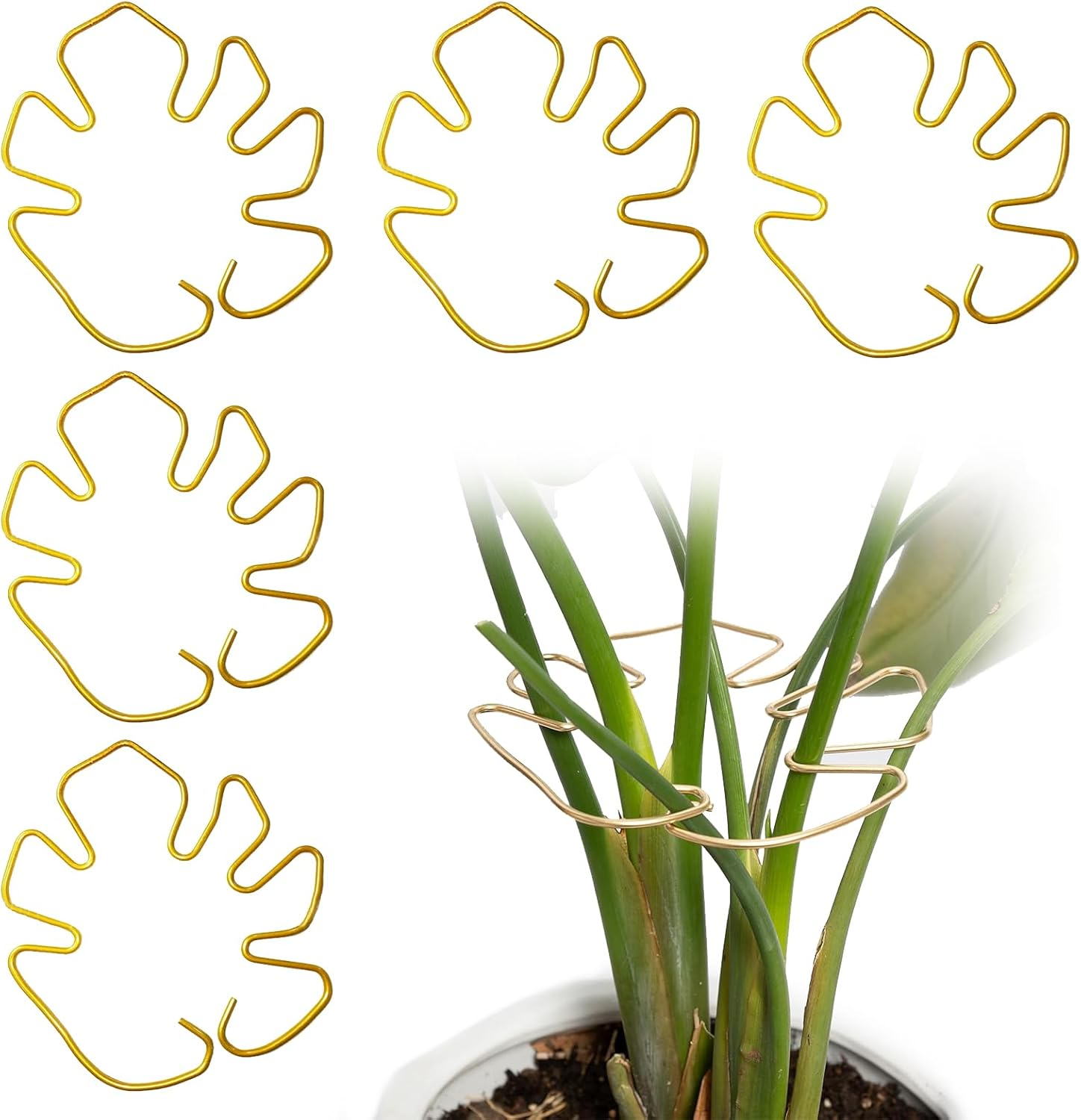 Zalizr 5 PCS Plant Stem Support, Metal Monstera Stabilizer Grapple Holder, Durable Turtle Shell Bamboo Support for Healthy Growth, Easy-To-Use Wear-Resistant Plant Stabilizer (Gold, 16X18 CM) image number 6