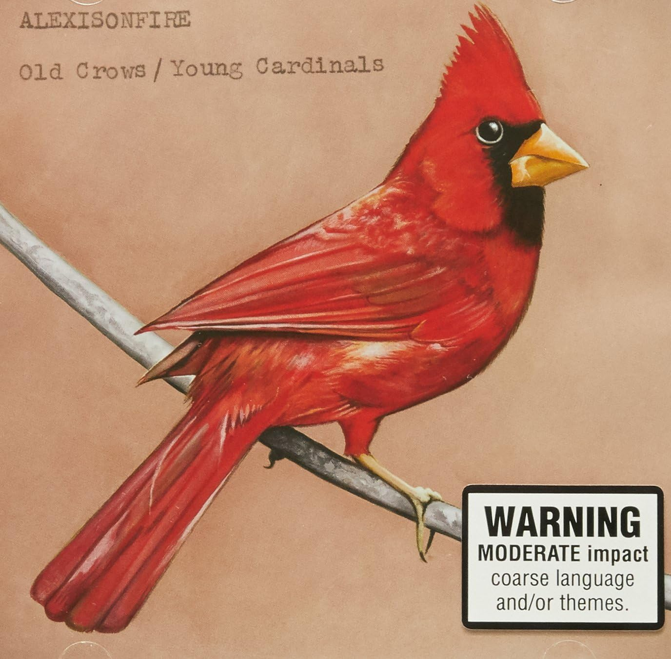 OLD CROWS / YOUNG CARDINAL