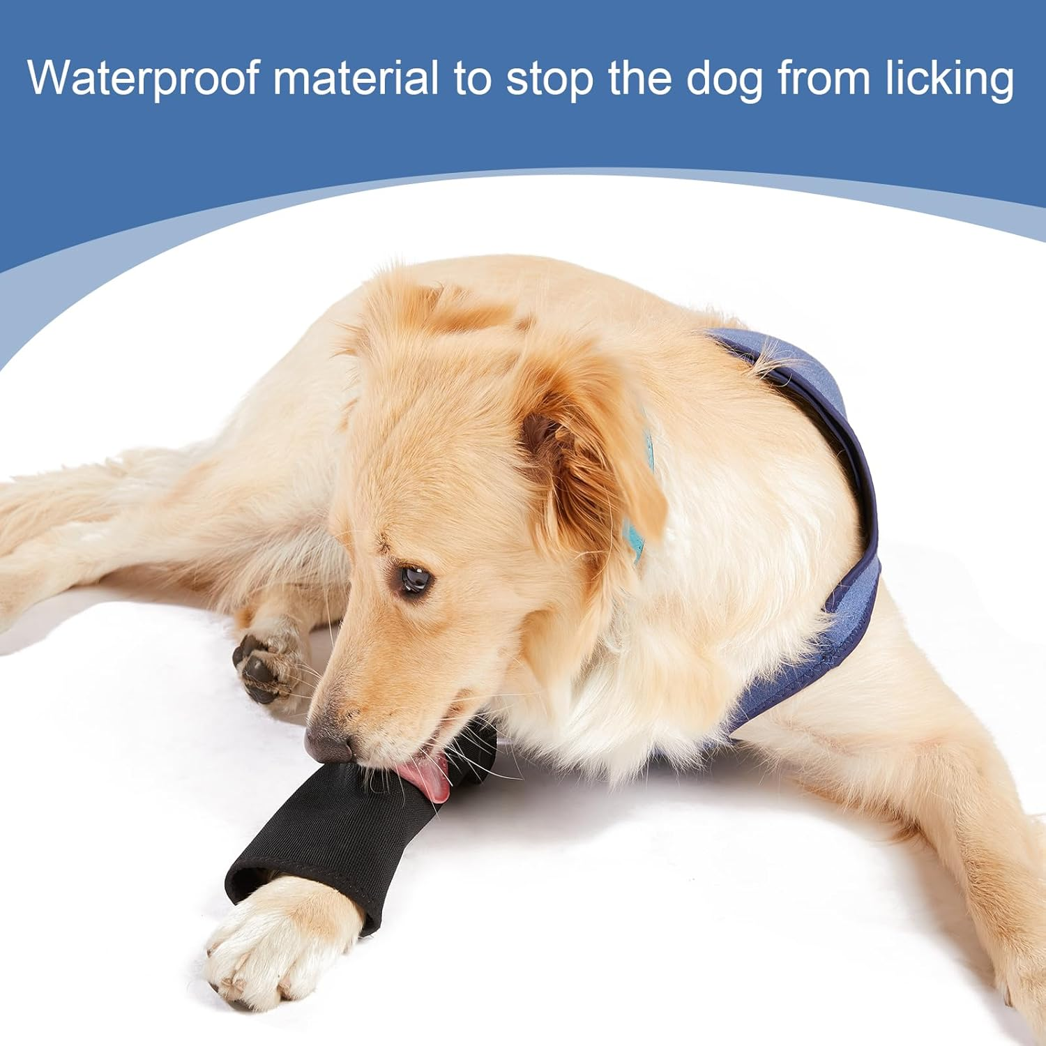 Coodeo Dog Recovery Suit, Cone Collar Alternative, Abrasion Resistant Dog Recovery Sleeve, Washable 2.5Mm Thick and Waterproof, Pet Wounds Prevent Licking, Bite, Keep Dry（Blue，L image number 5