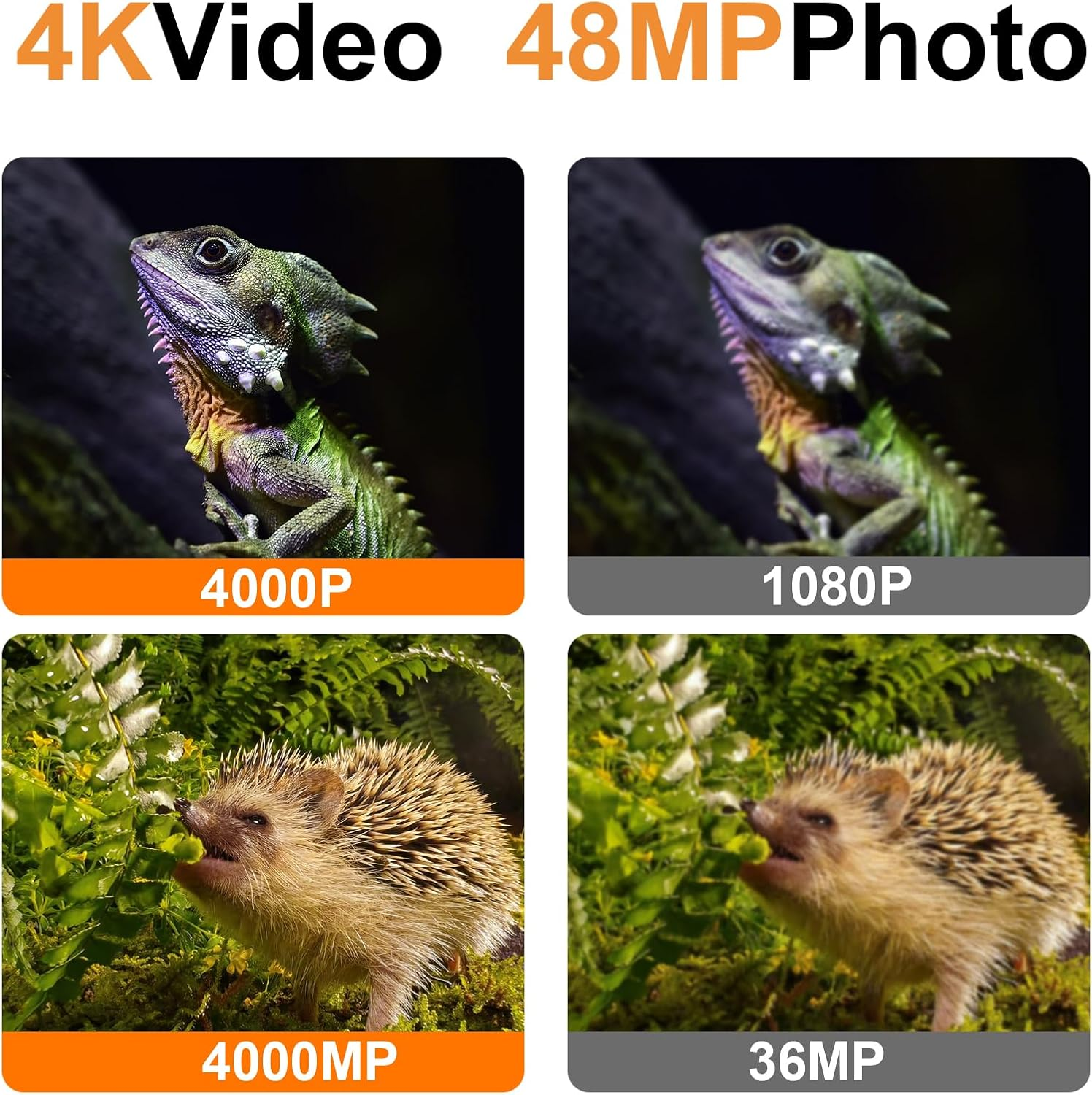 Trail Camera, 4K HD Game Camera with Night Vision, 0.3S Trigger Time Motion Activated, Loop Recording, 2.0 LCD Screen, IP66 Waterproof Camera for Wildlife Monitoring image number 2