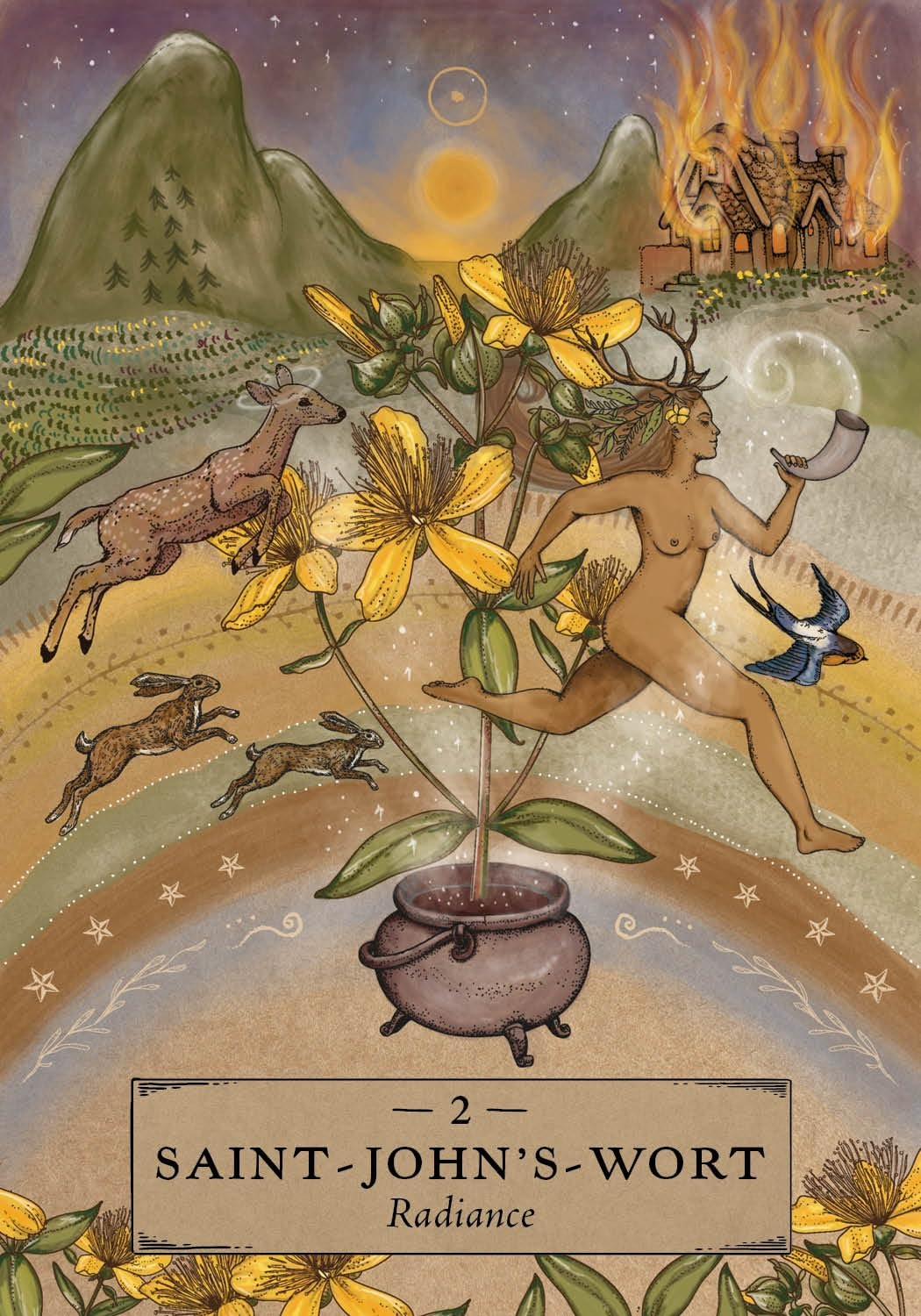 The Herbal Astrology Pocket Oracle: a 55-Card Deck and Guidebook image number 5
