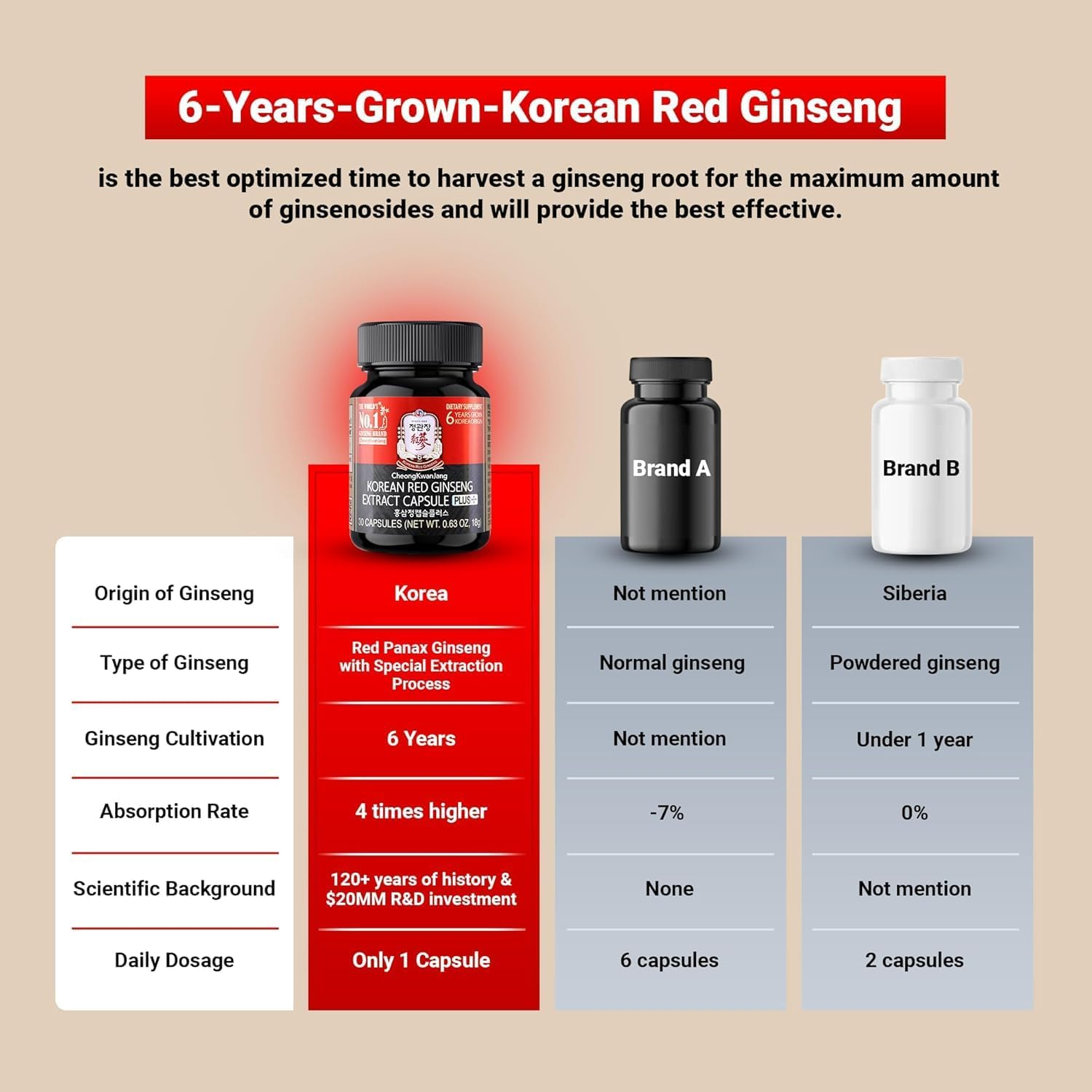 Cheongkwanjang Korean Red Ginseng Extract Capsules plus | All-In-1 Panax Ginseng Supplement | Improve Blood Flow, Enhances Immune Function, Antioxidant Support | 30 Capsules image number 6
