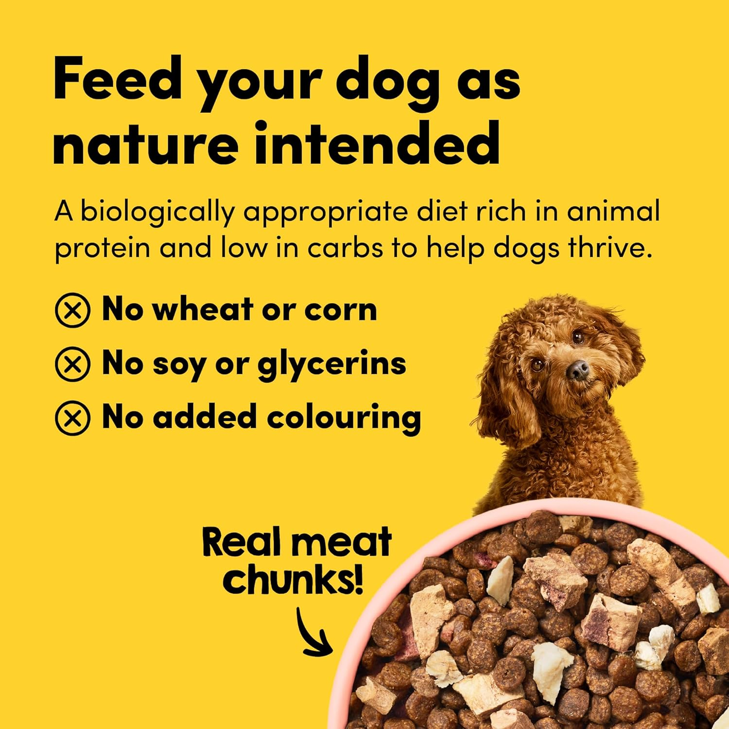 Rawmix33 Premium Freeze-Dried Raw Ocean Fish Recipe Dog Food, Protein Rich, Includes Kibble, Non-Gmo, No Wheat or Corn, 2Kg image number 5