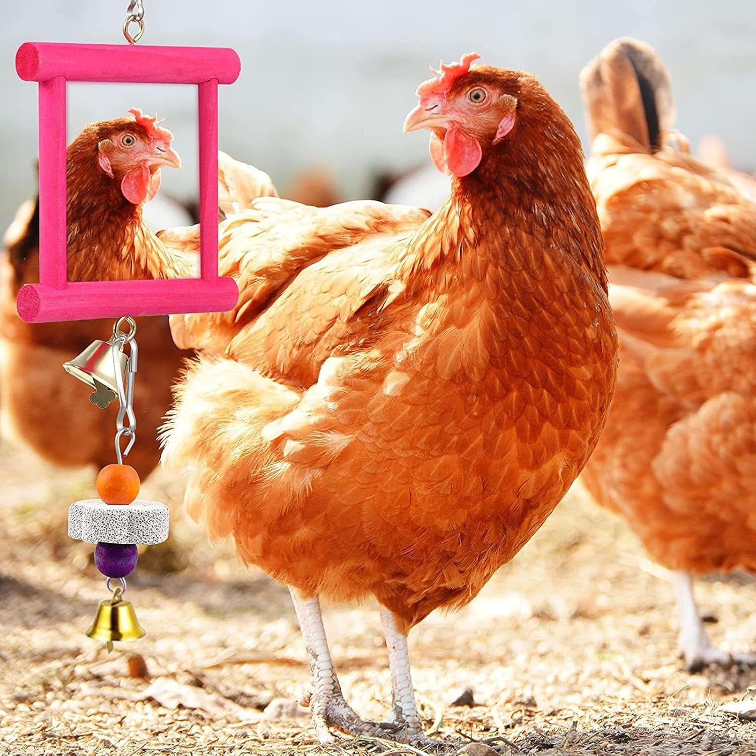 Gihioue Chicken Swing Mirror,Coop Enrichment Mirror Pecking Toy | Safe Multi Functional Roosters Hens Entertainment for Garden Farm Outdoor Space