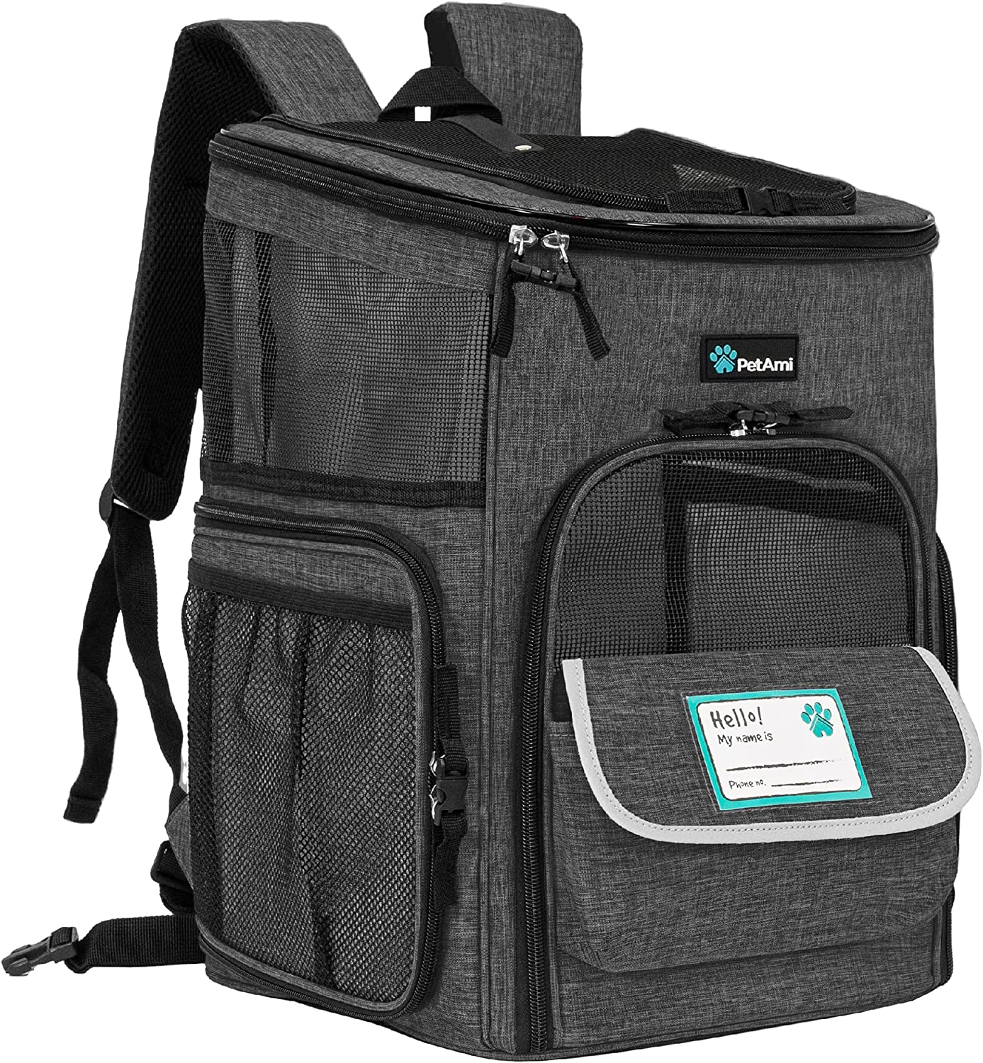 Petami Pet Carrier Backpack for Small Cats, Dogs, Puppies | Ventilated Structured Frame, 4 Way Entry, Safety and Soft Cushion Back Support | Collapsible for Travel, Hiking, Outdoor (Turquoise)