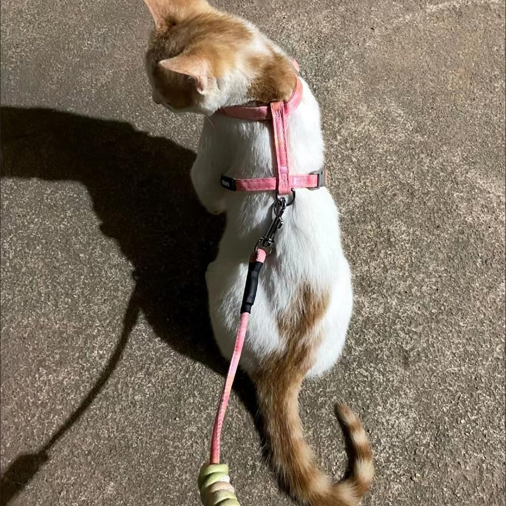 Cat Harness with Lead, Escape Proof Cat Harness Lead, Adjustable Cat Lead with Harness for Small, Medium Cats, Outdoor Walking, Colour Gradient Orange image number 5