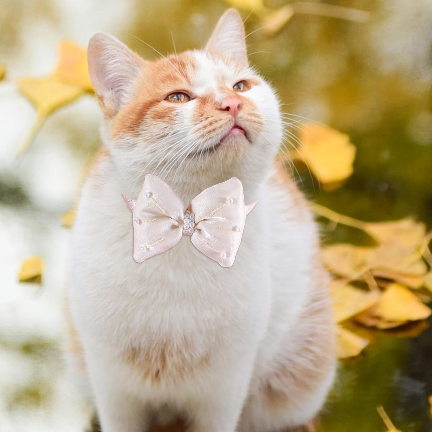 PLUSHCEWT Bow Cat Collar Pet Pearl Bow Collar Double Satin Soft Kitten Collars Quick Release Safety Cat Collars Elegance Adjustable Cats Collar ((White)) image number 4