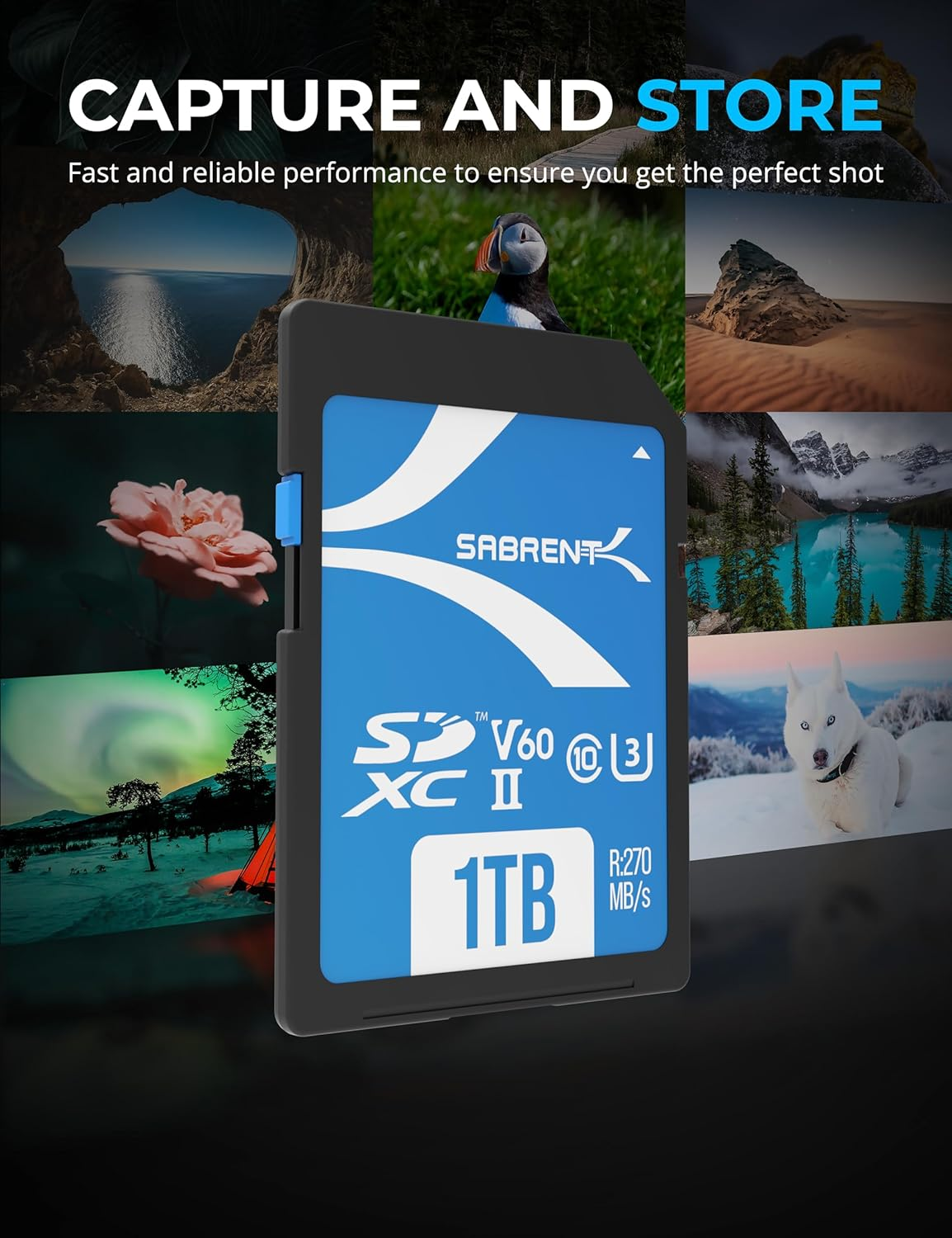 SABRENT Rocket V60 1TB SD UHS-II Memory Card R270Mb/S W170Mb/S (SD-TL60-1TB) image number 3