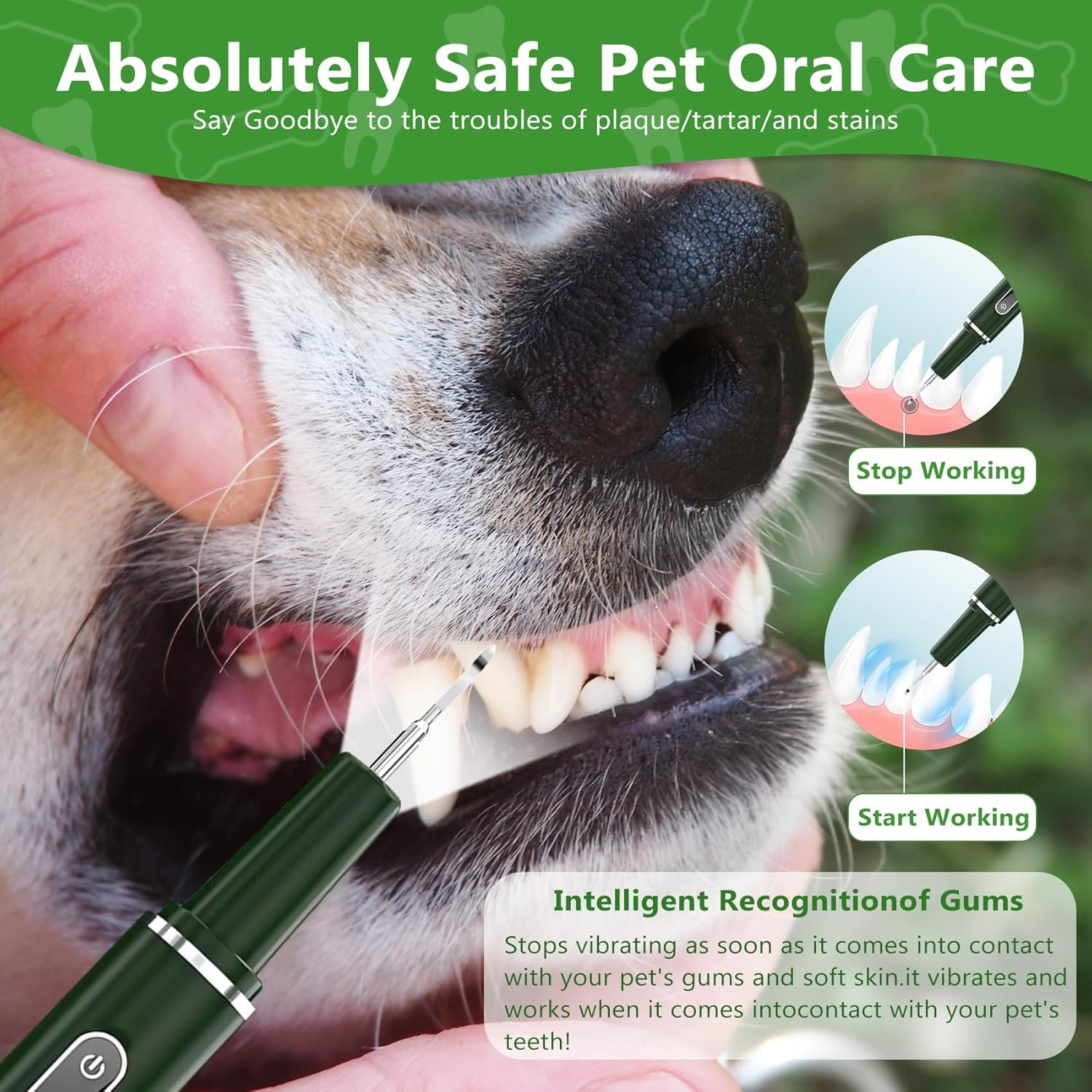 Opdent Dog Plaque Remover for Teeth - Pet Ultrasonic Tooth Cleaner, 6 Adjustable Modes Dog Teeth Cldaning Kit with LED Light, Cats and Dogs Tartar Remover for Teeth (Green, Large) image number 1