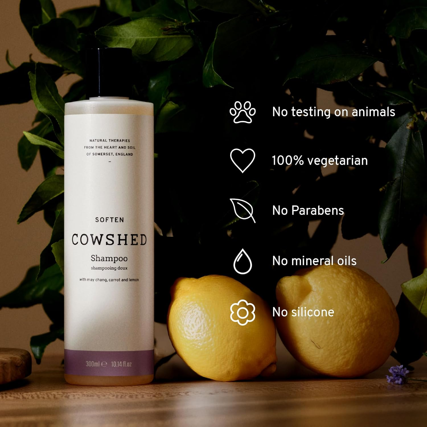 Cowshed Cowshed Soften Shampoo for Unisex 10.14 Oz Shampoo, 300 Ml image number 3