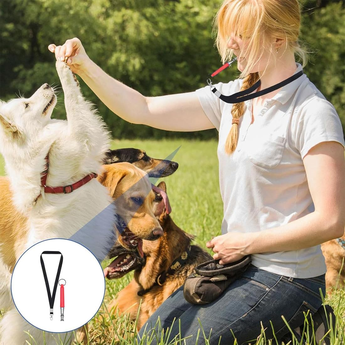 Pack of 2 Dog Whistles, Professional Ultrasonic Whistle, Ultrasonic Dog Whistle, Dog Whistle with Lanyard, Adjustable High Frequency Dog Accessories, for Stop Barking and Dog Training image number 3