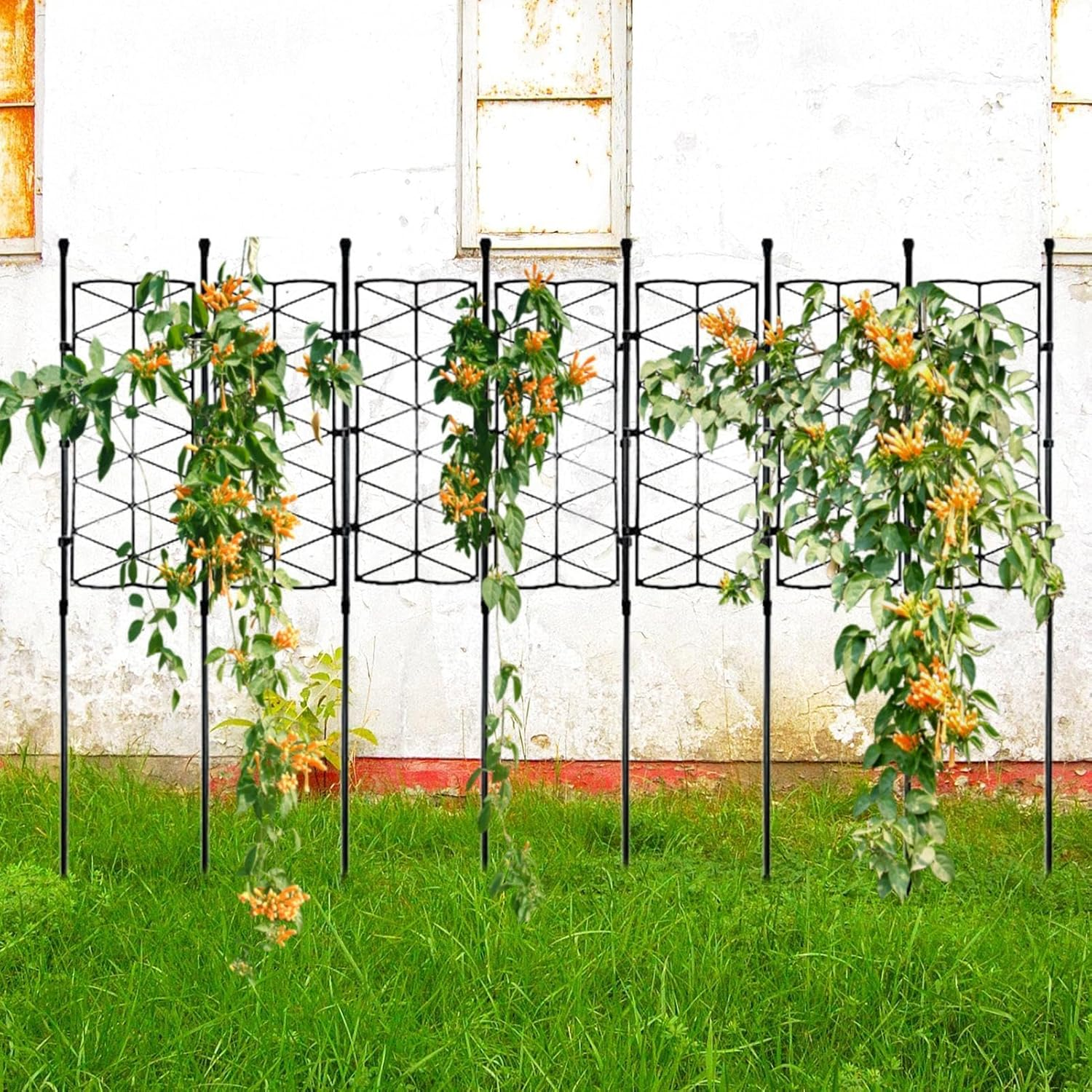 Indoor Plant Trellis,Lattice Frame Stake for Houseplant Support - Garden Climbing Plant Support Stand for Clematis, Sweet Peas, Roses, Morning Glories