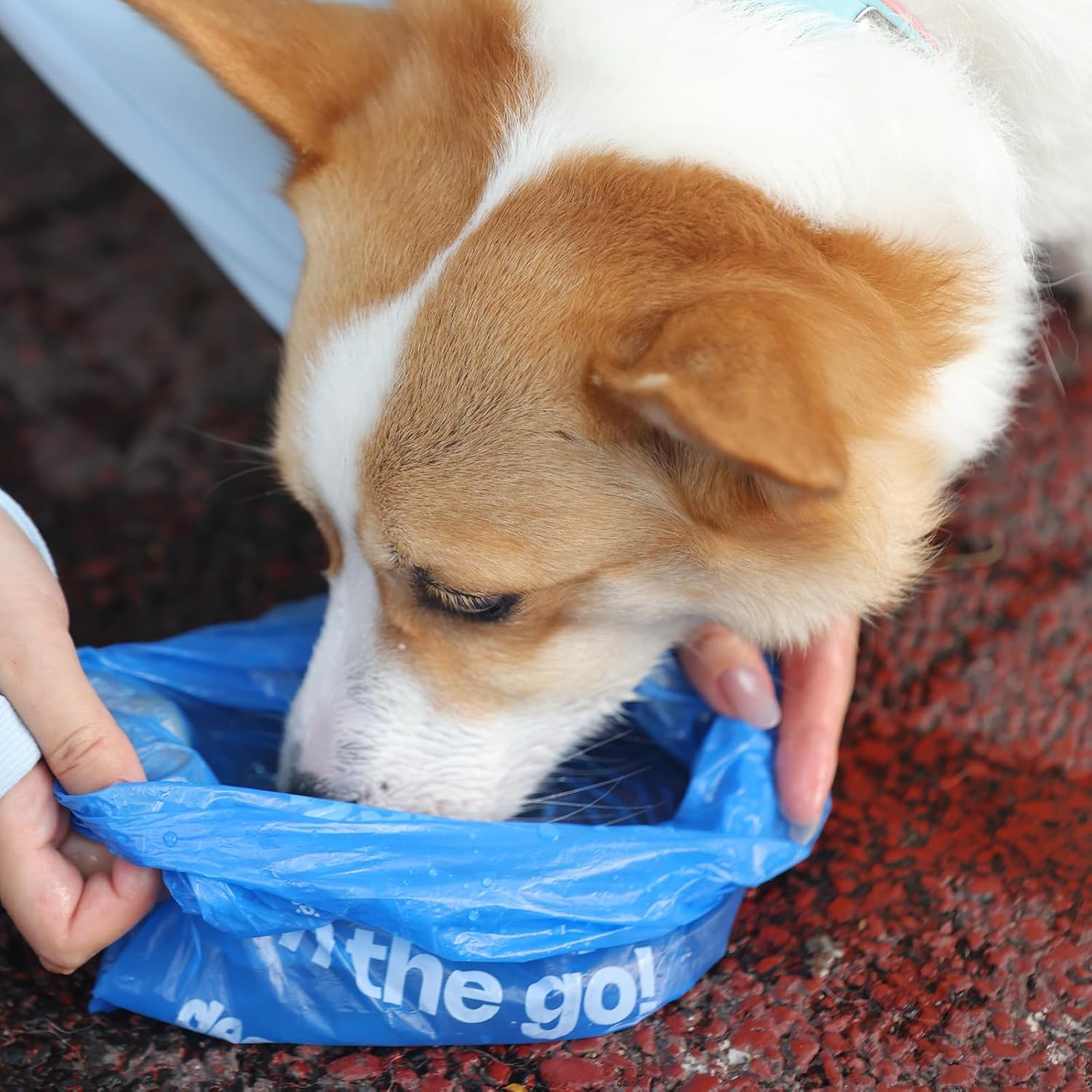 Deo Doo Dog Poop Bags with Handles 9 Rolls 108 Counts Big Sizes Leak Proof and Extra Thick Waste Bags Refill Rolls for Walking Small Medium Large Dogs Cats Litter with Holder Iris Scented image number 6