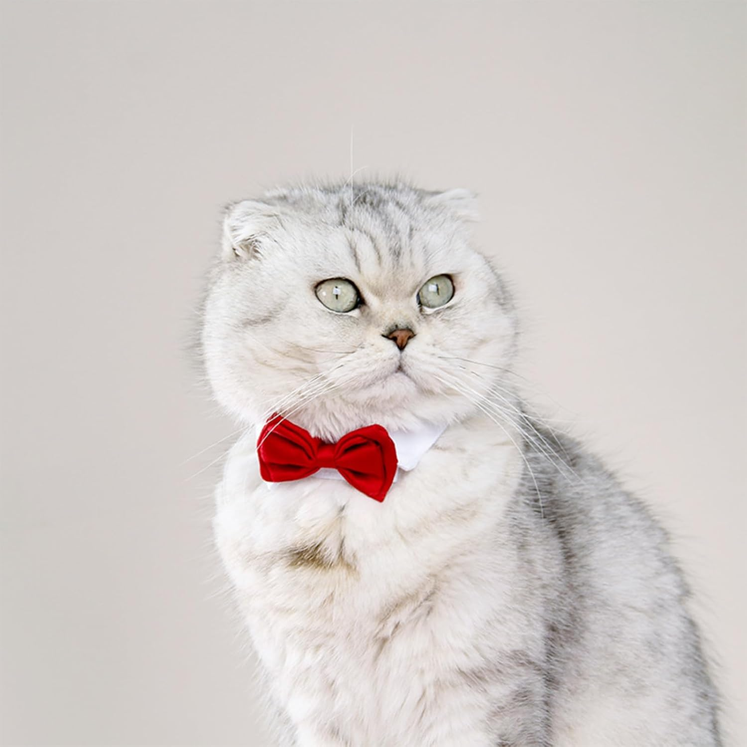 XUNQUCOM Pet Bow Tie Collar for Cats & Dogs (Black-L) image number 1