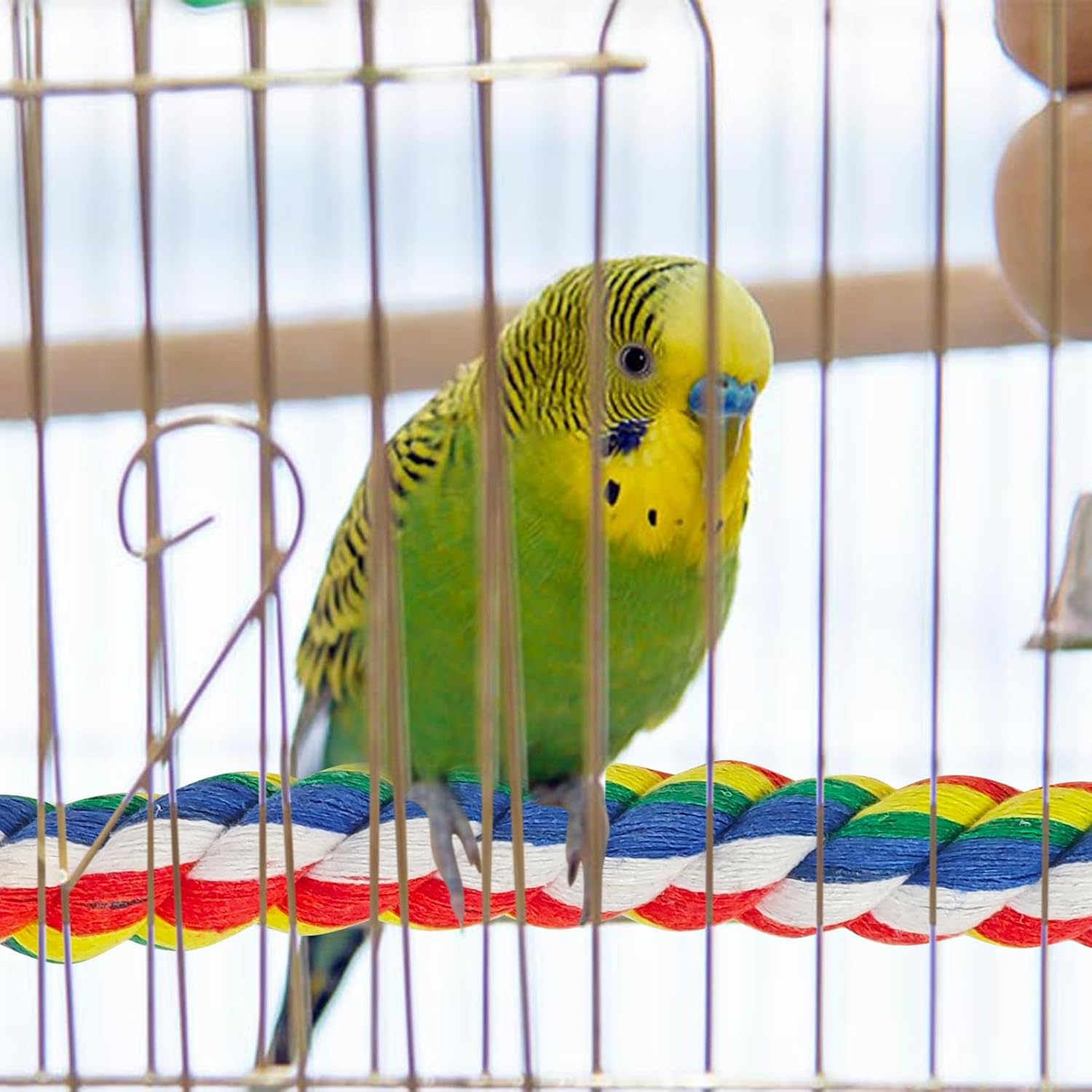 2Pcs Pet Bird Parrot Colorful Cotton, Spiral Cotton Rope Bird Perch, Bird Parrots Toys, Birdcage Swing Toys for Parrot/Parakeet/Cockatiel Bungee Toys 80Cm image number 6