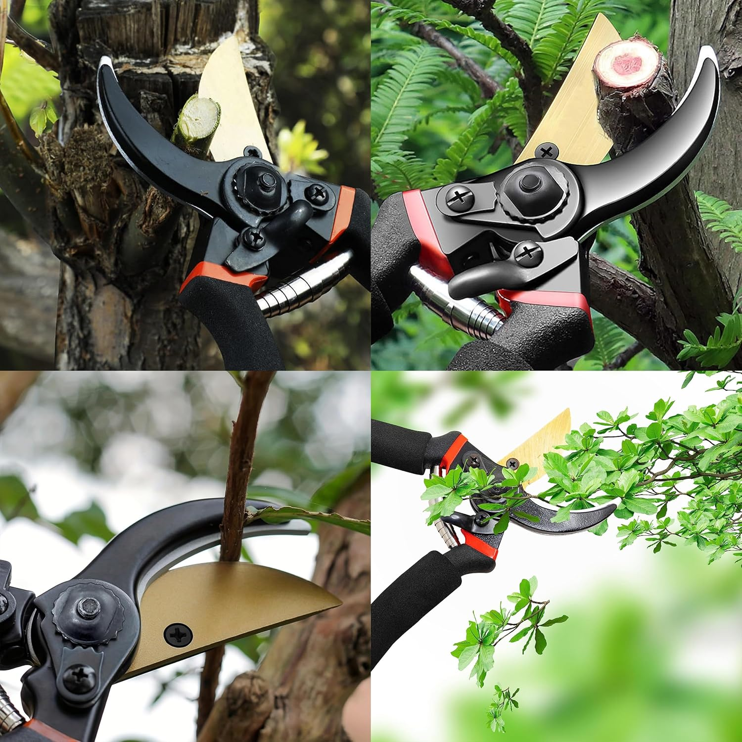 Premium Pruning Shears | Easy Lock-In Design | Rust-Free Sharp Blades | Comfortable Garden Pruning Shears for Precise Cuts | 8" Professional Secateurs image number 1