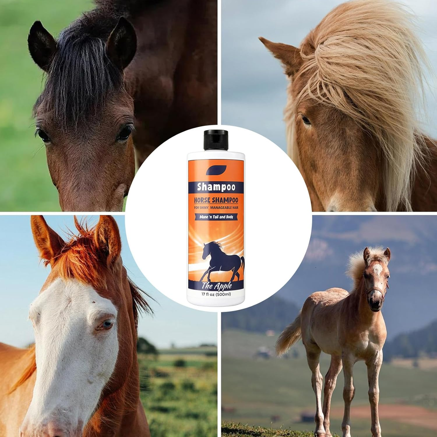 Horse Shampoo Conditioner - 500 Ml Coat Cleaner Shower Gel, Smoothing the Care Solution, Moisturising Shower Gel, Deep Moisture Retention Shampoo for Human Hair, Dog Wasc image number 4