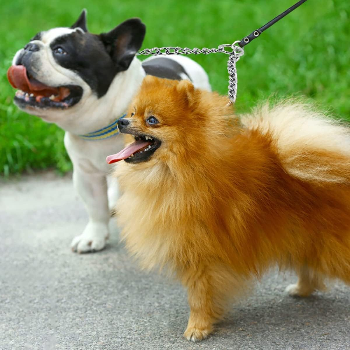 Double Dog Lead Rope,2 Pieces Metal Durable Dog Chain Chew Proof Tangle Free Dual Pet Dog Leash Extension Splitter Lead for 2 Dogs for Walking (Silvery, 2.5 * 40CM) image number 4