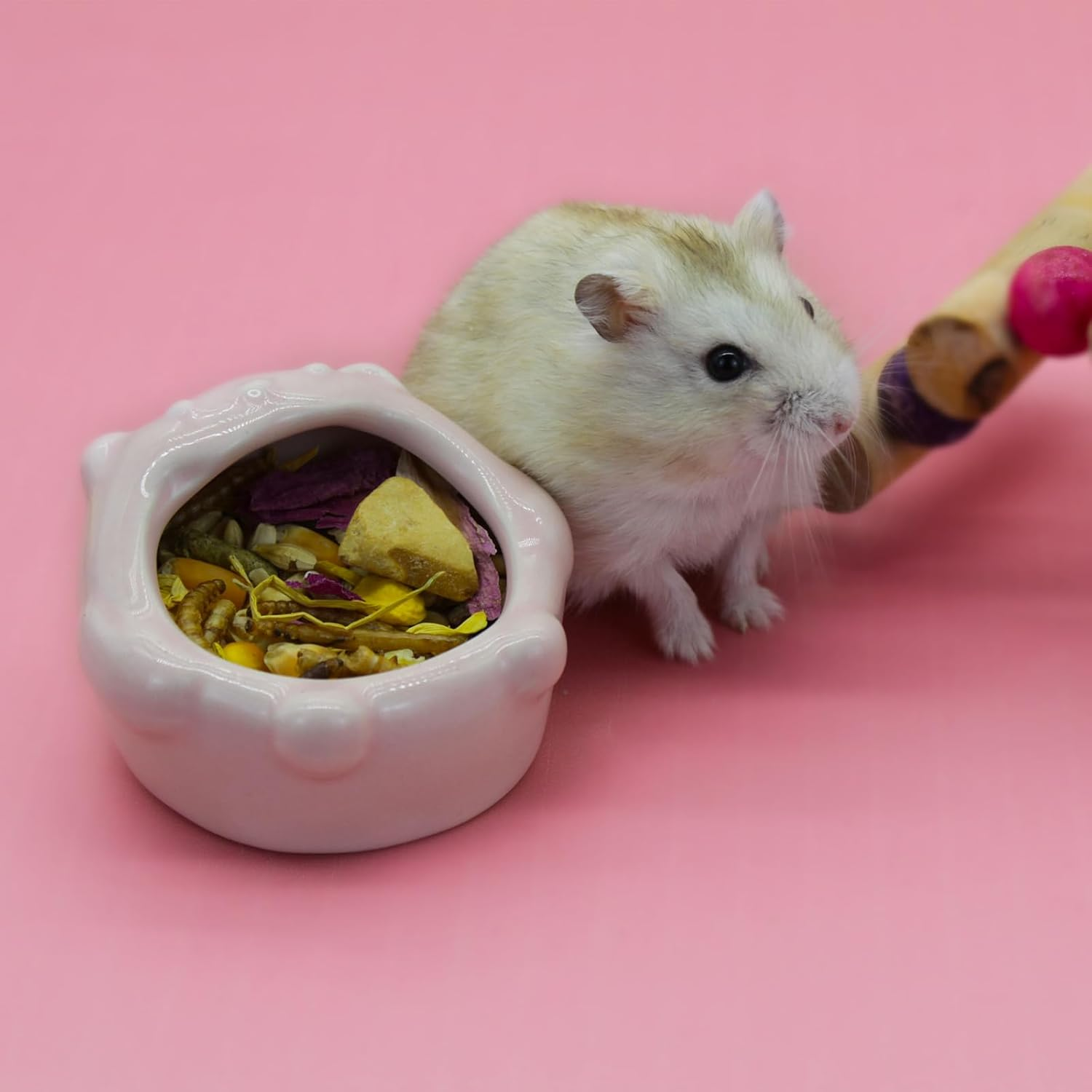 Luckyopt Small Ceramic Pet Hamster Bowl, Easy to Clean anti Flipping Small Animal Bowls, Hamster Food and Water Bowl for Golden Bears, Rabbits, Hedgehogs, Dutch Pigs, Parrots (Green) image number 3