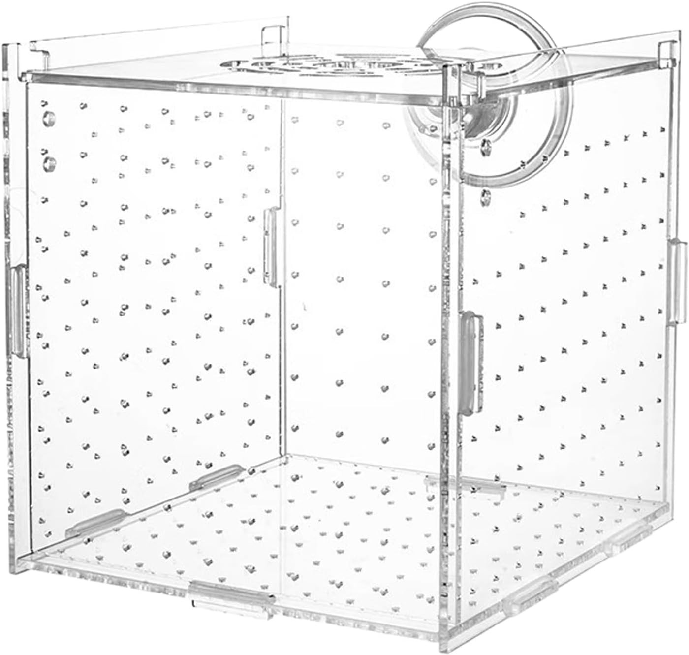 Vgvgaj Fish Breeder Box - Suction Cup Aquarium Breeder Box - Acrylic Nursery Divider Container Hatchery Incubator for Shrimp Guppy Egg Angelfish Fry Acclimation