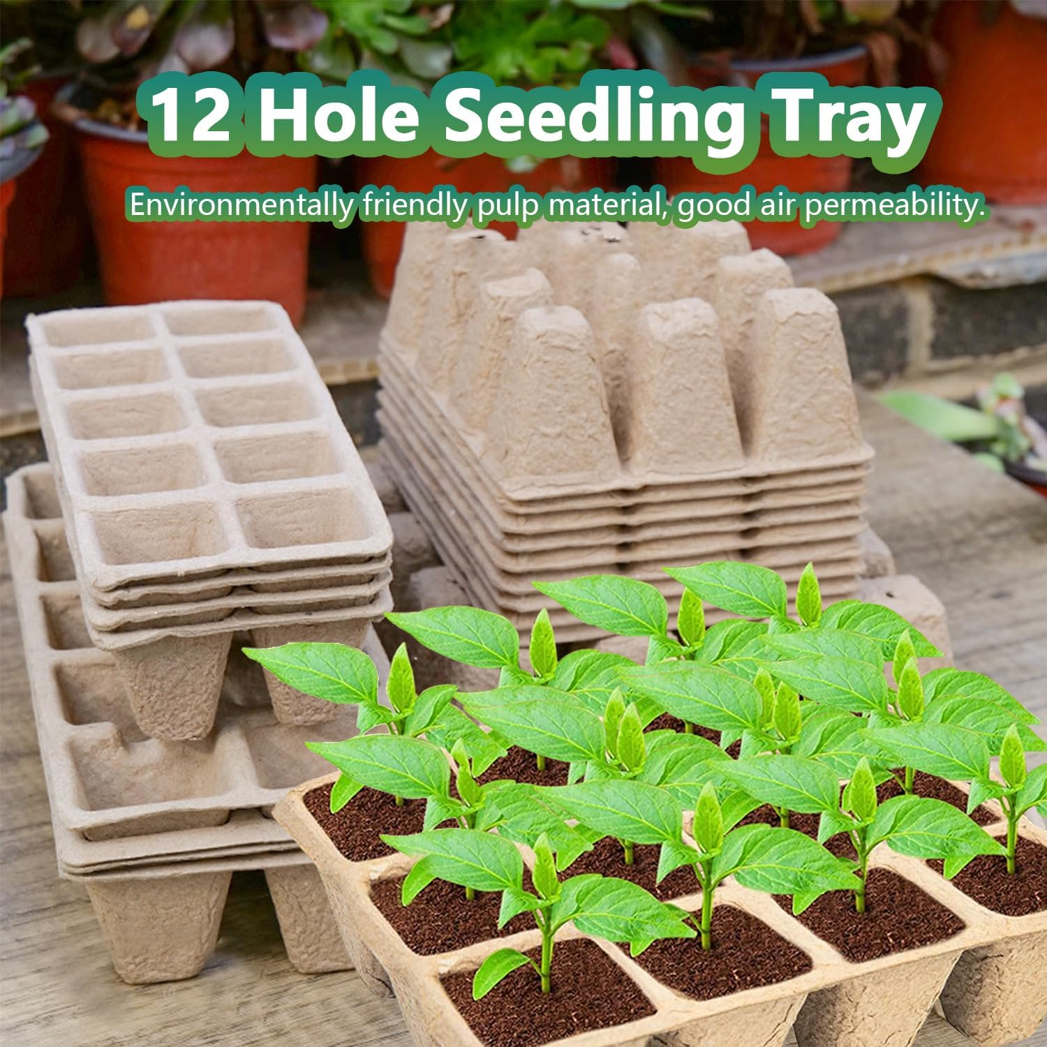 Doubleggs 360 Cells Seed Starter Tray, 30 Packs Biodegradable Peat Pots for Seedlings, Organic Germination Plant Starter Kit with 200 Labels and 2 Transplant Tools image number 5