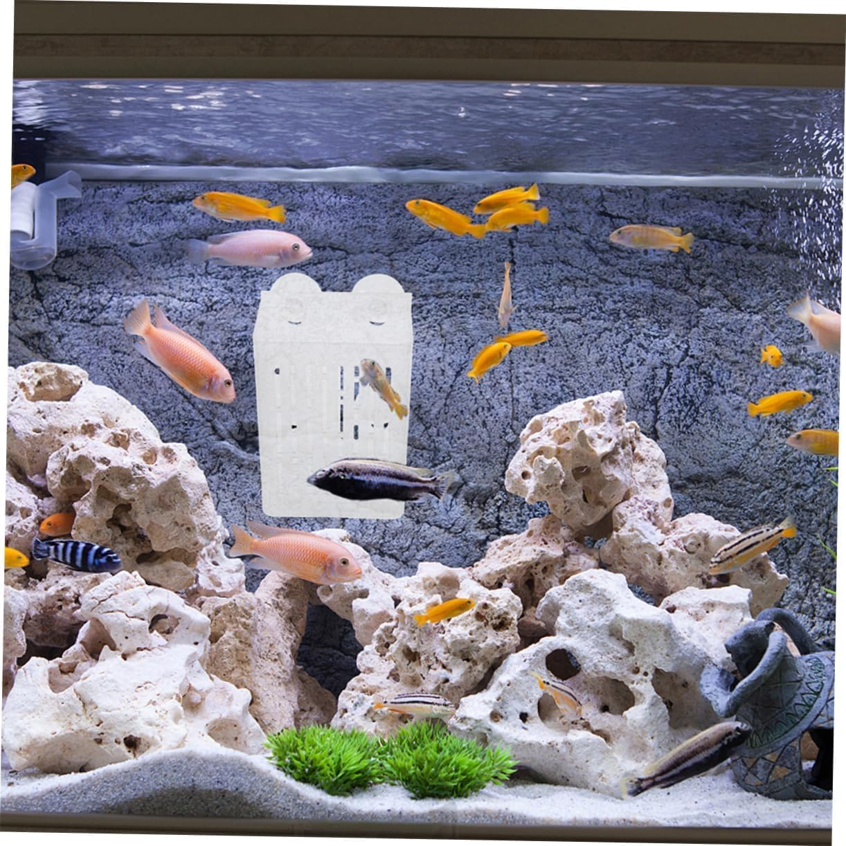 2 Pcs Wezxrauo Aquarium Plant Holder with Suction Cups, Fish Tank Grass Planter for Aquatic Plants, Moss Decor, Underwater Planting Cups for Aquascape Decorations image number 2