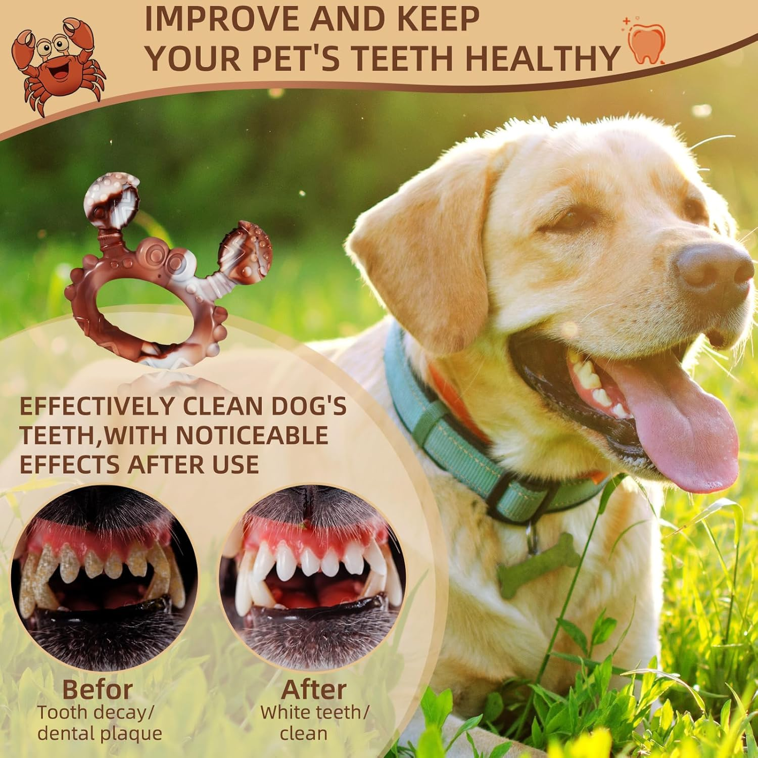 Tough Dog Chew Toy for Aggressive Chewers,Indestructible Interactive Beef Flavor Dog Teething Toy,Durable Nylon Dog Teeth Cleaning Chew Toy for Large Medium Dog image number 2