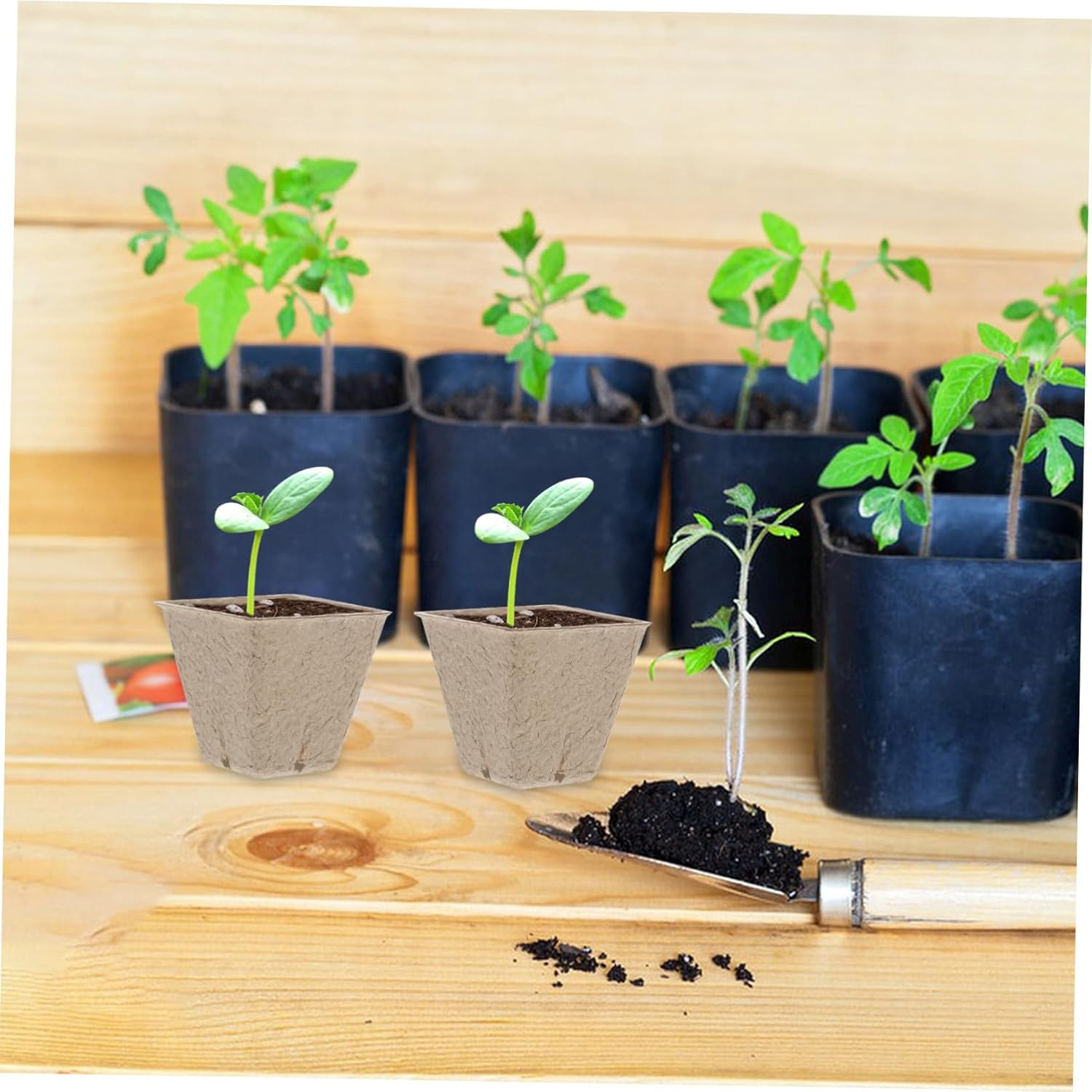 Happyyami 50Pcs Boys and Girls Paper Seedling Pots DIY Flower Pot for Gardening Drainage Holes image number 6