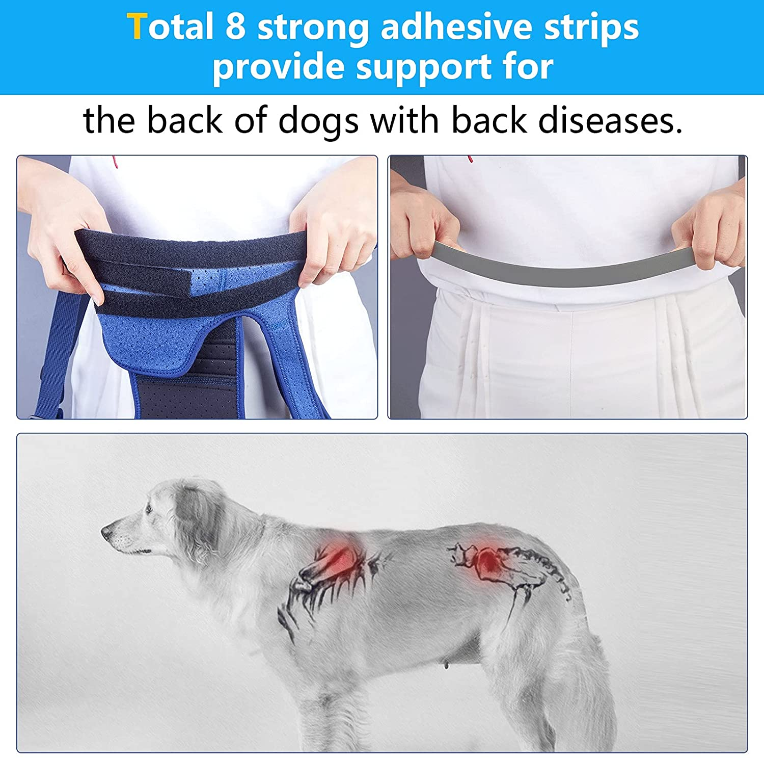 Coodeo Dog Back Brace for Dogs Arthritis, Pet Back Bracer for IVDD, Back Protector Helps Pain Relief, Surgical Recovery and Rehabilitation, Dogs Back Disease Prevention. (Blue,Xx-Large) image number 6